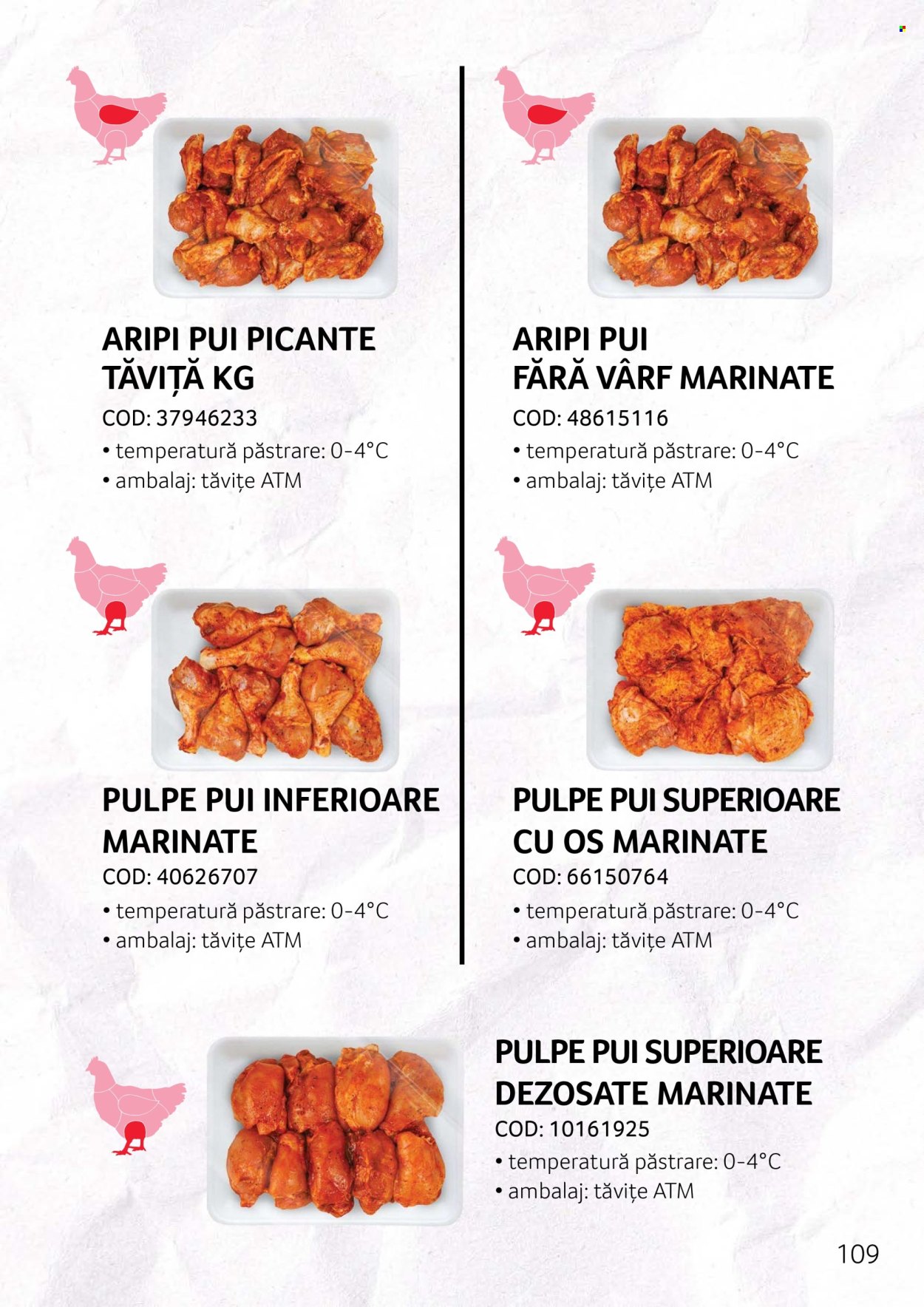 Catalog Selgros. Pagina 109