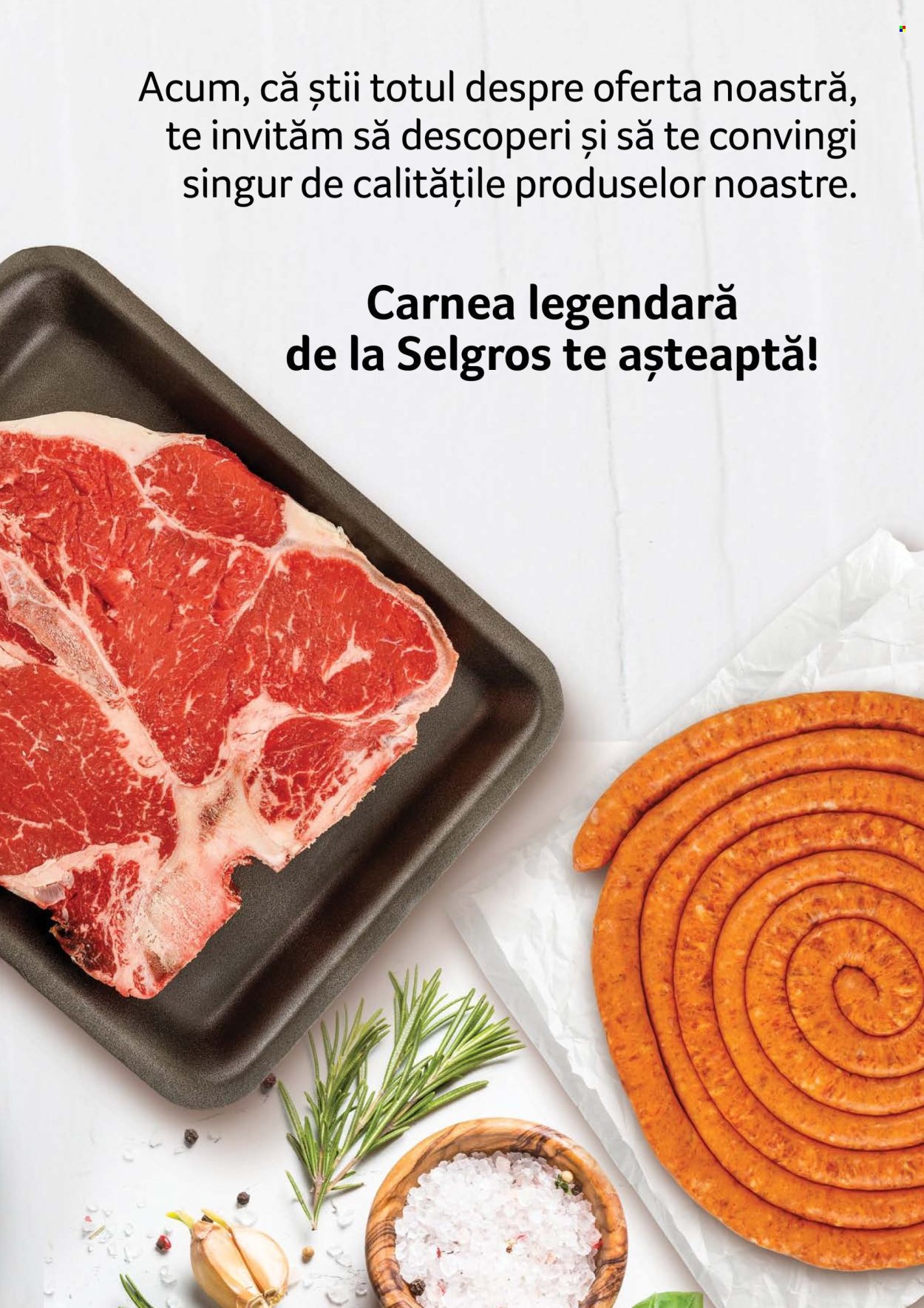 Catalog Selgros. Pagina 111