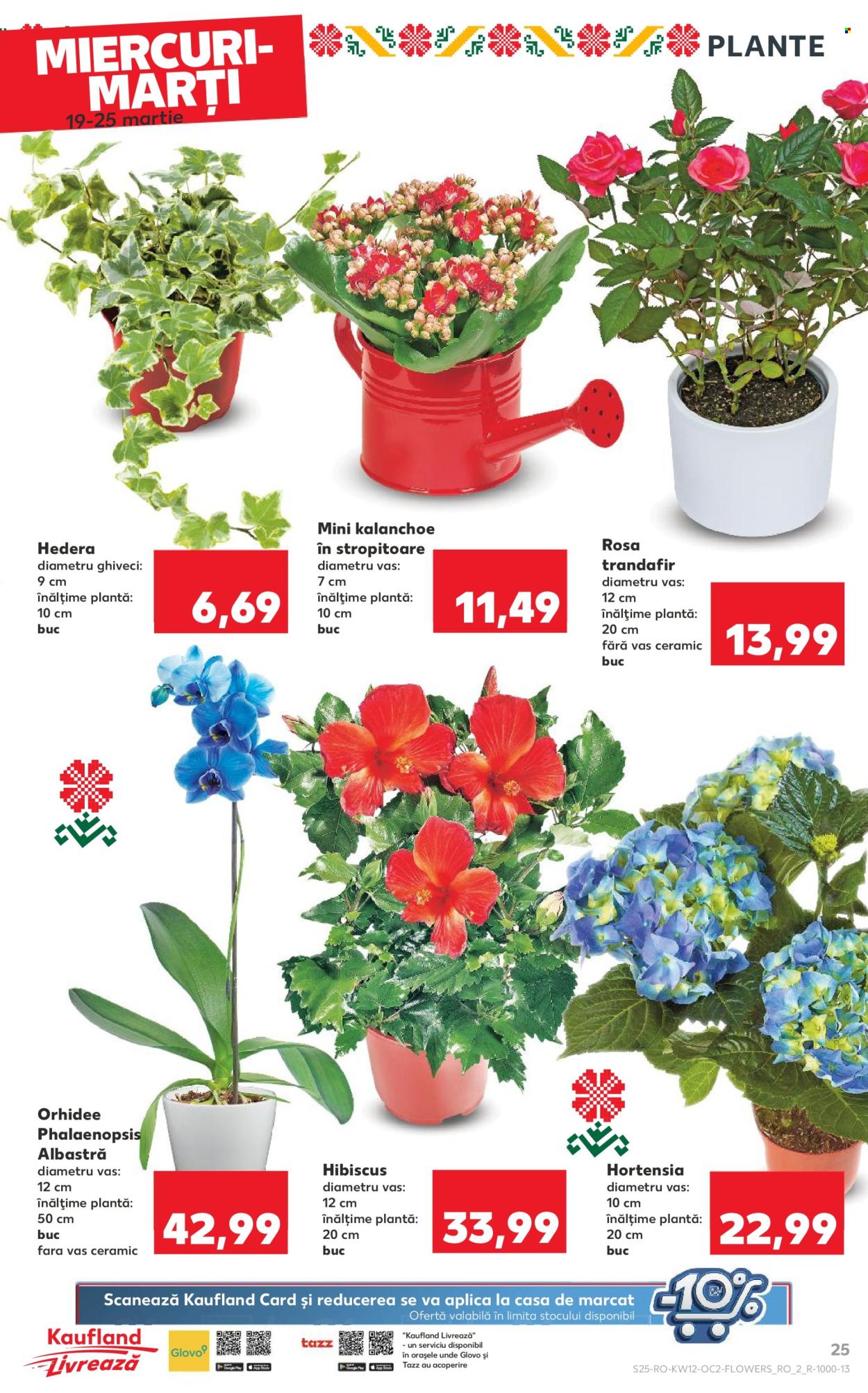 Catalog Kaufland - 19.03.2025 - 25.03.2025. Pagina 25