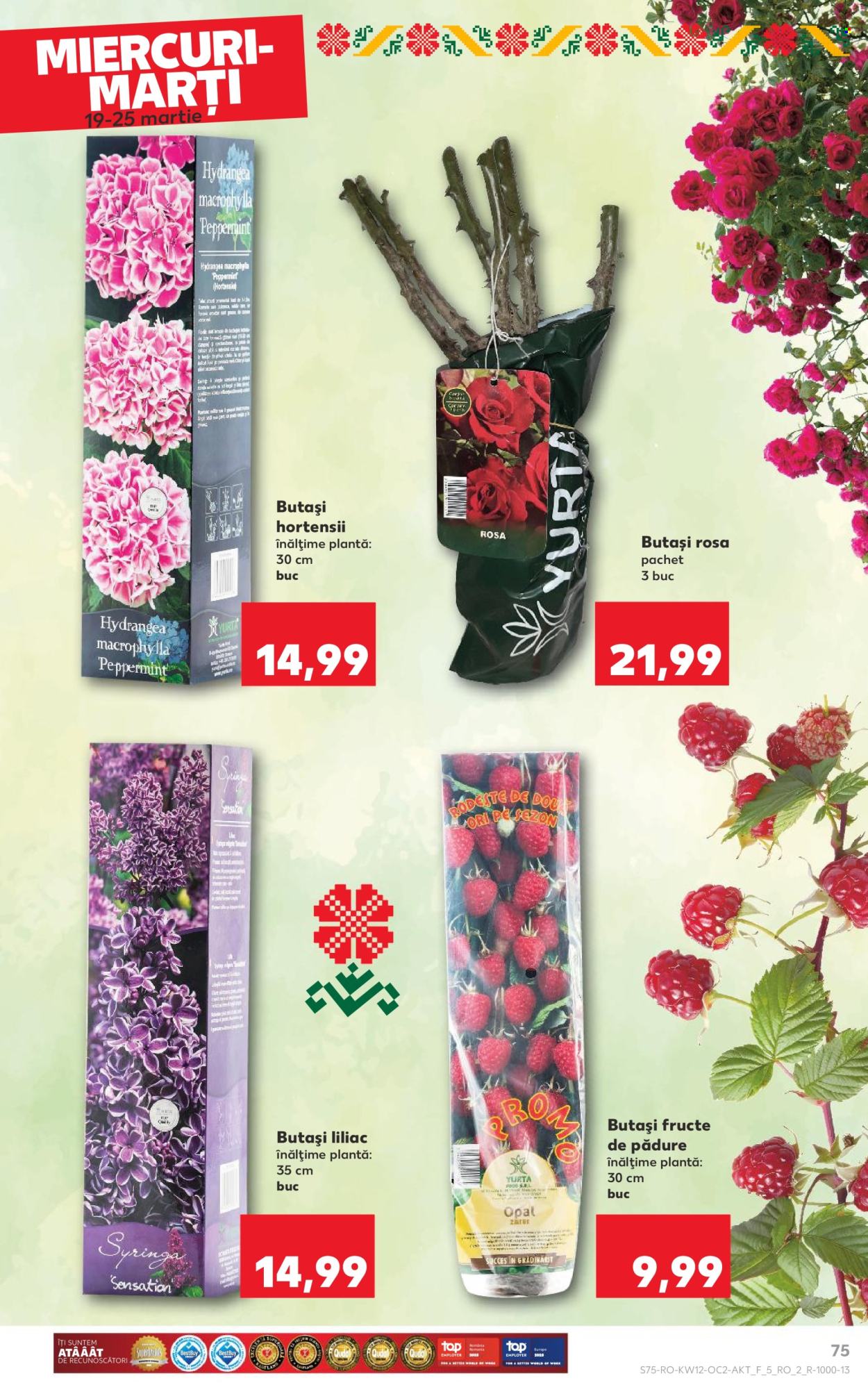 Catalog Kaufland - 19.03.2025 - 25.03.2025. Pagina 75