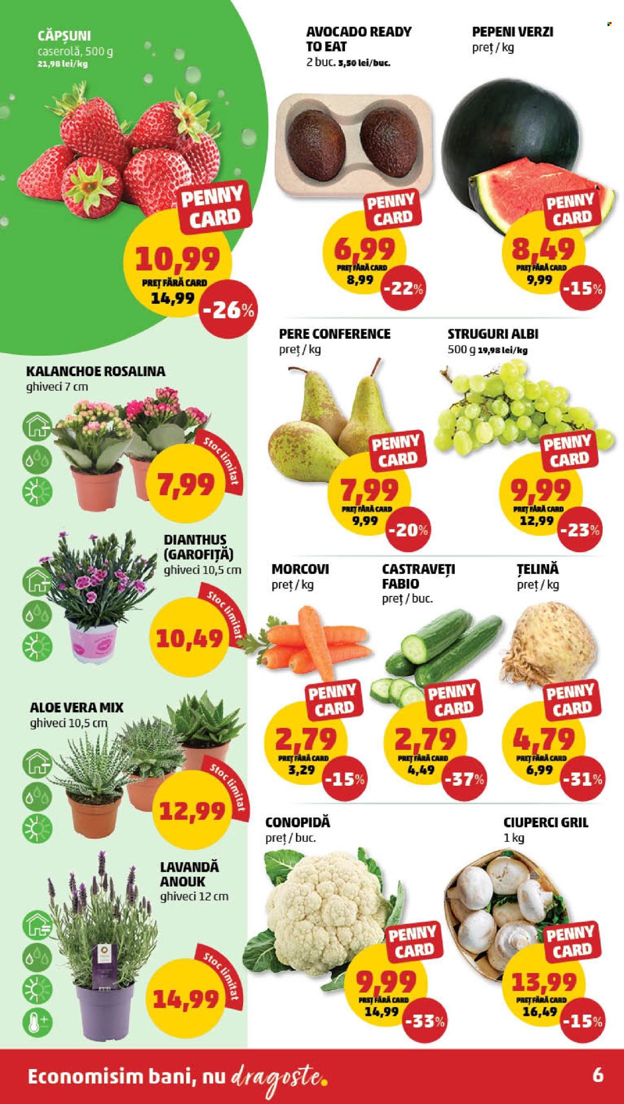 Catalog PENNY - 19.03.2025 - 25.03.2025. Pagina 6