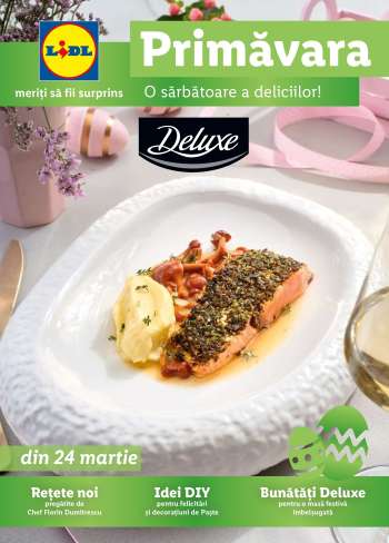 Cataloage Lidl.