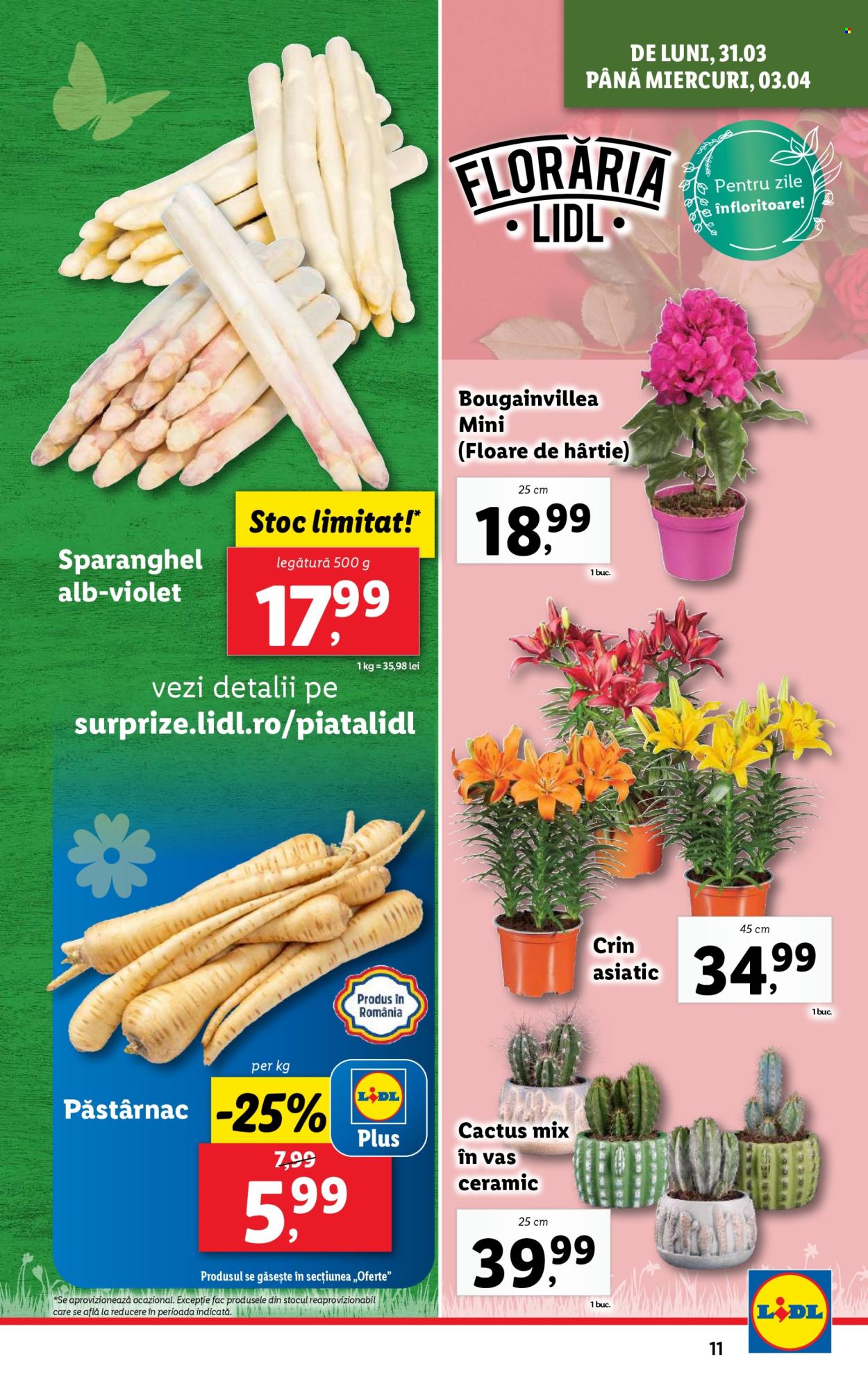 Catalog Lidl - 31.03.2025 - 06.04.2025. Pagina 11
