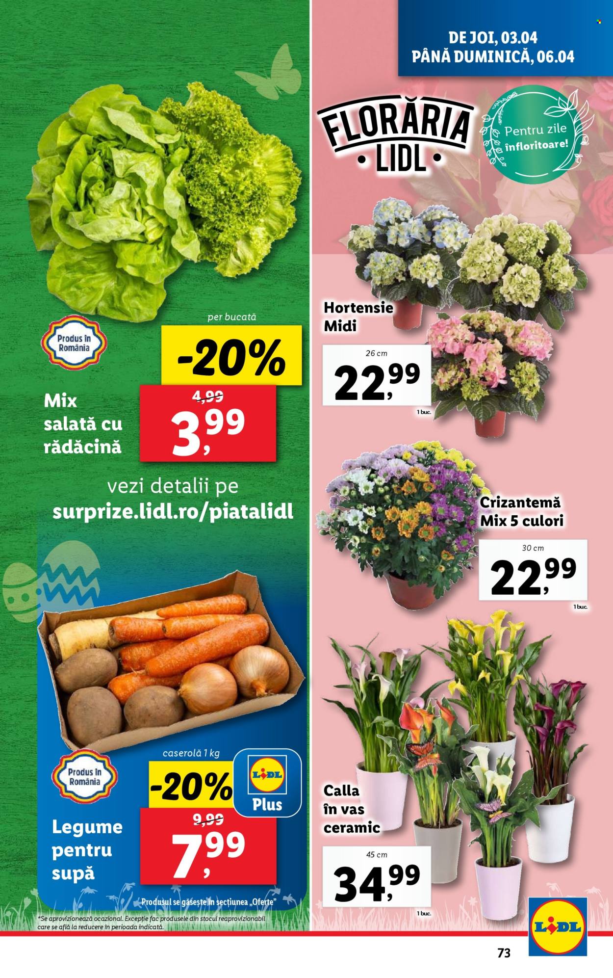 Catalog Lidl - 31.03.2025 - 06.04.2025. Pagina 73