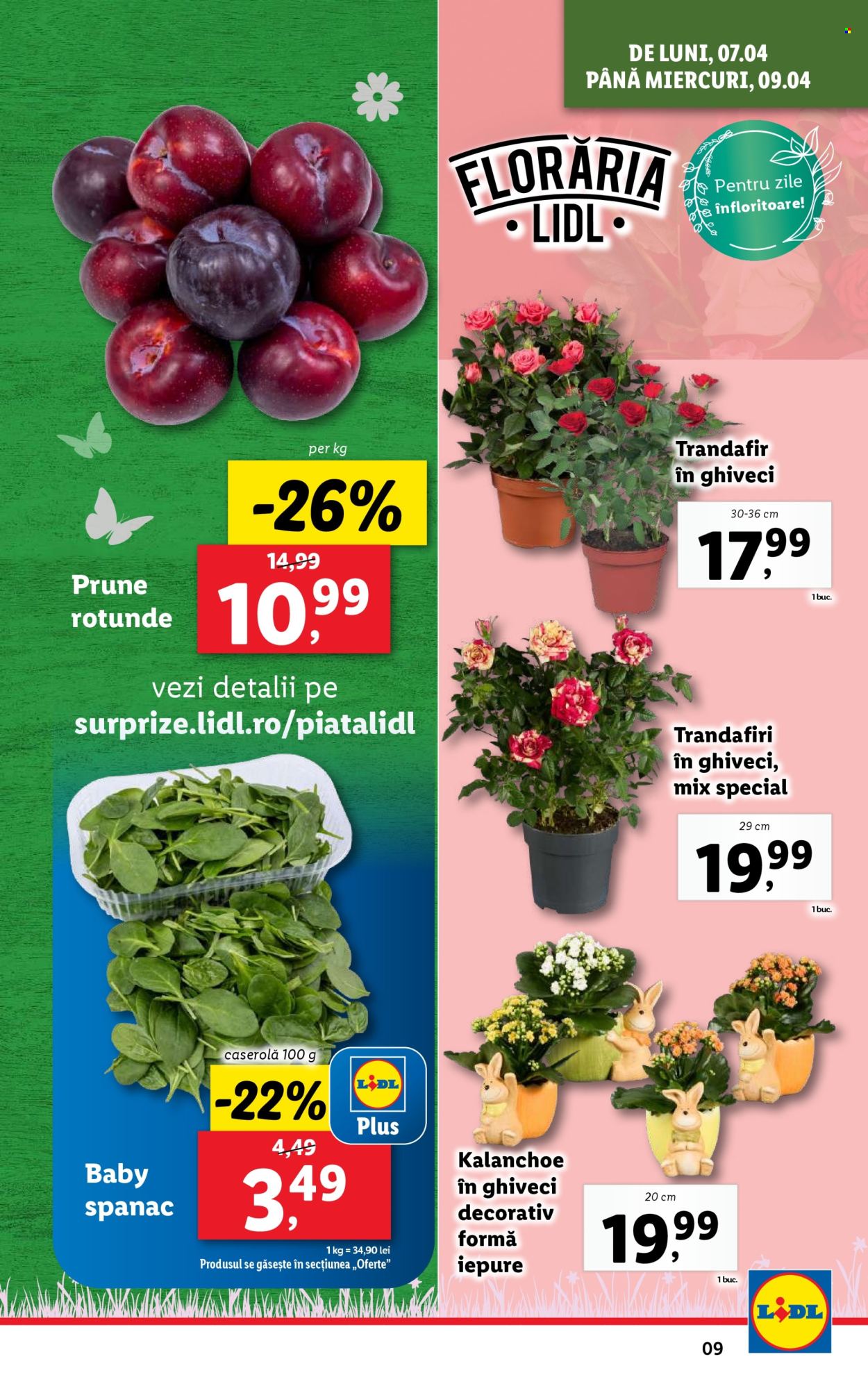 Catalog Lidl - 07.04.2025 - 13.04.2025. Pagina 9