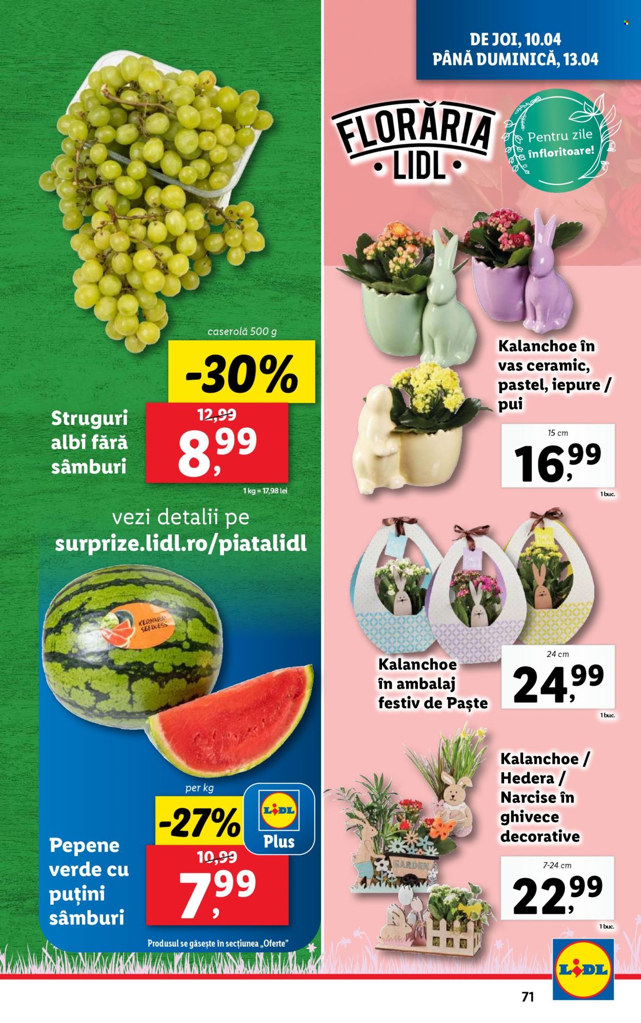 Catalog Lidl - 07.04.2025 - 13.04.2025. Pagina 71