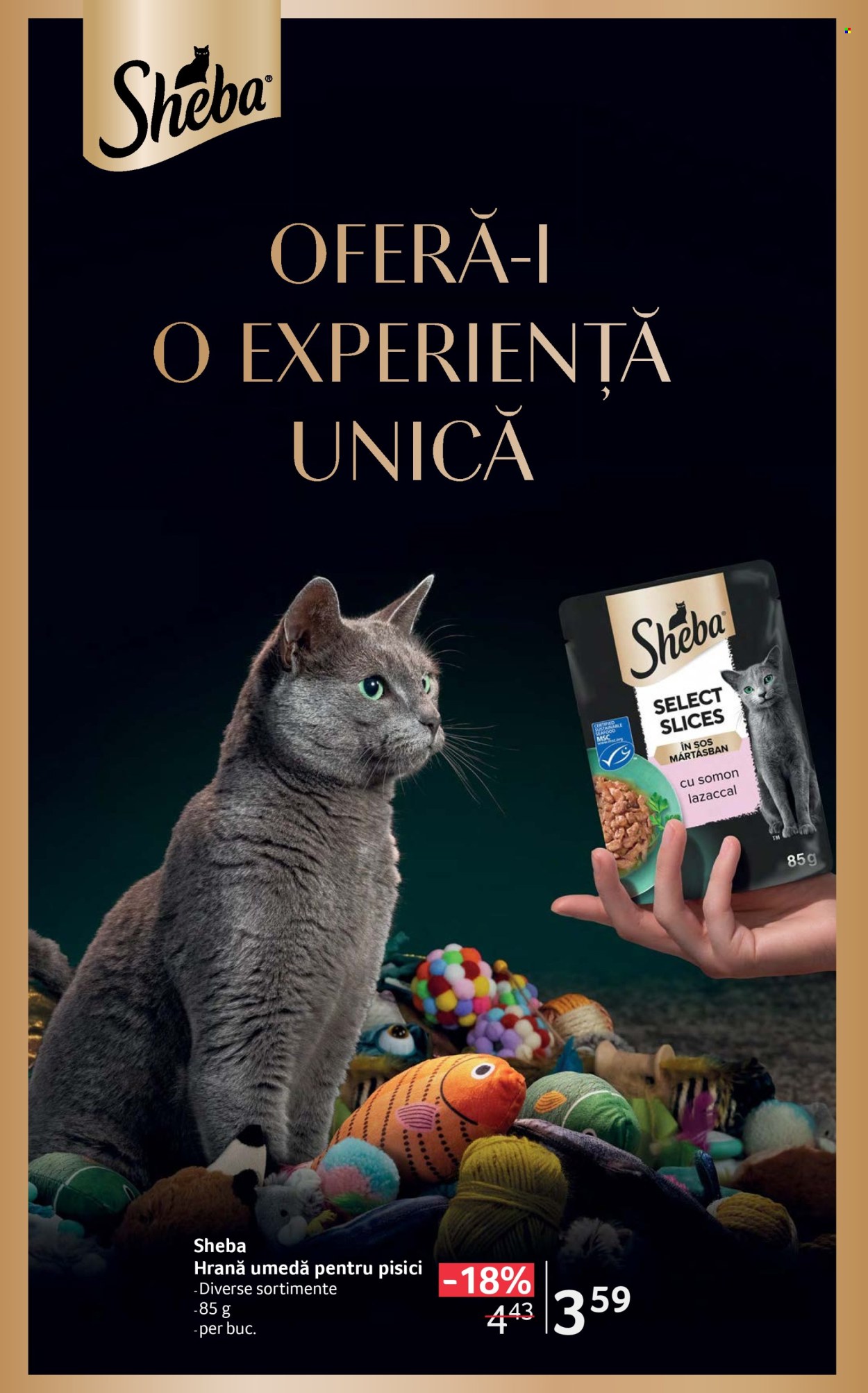Catalog Selgros - 04.04.2025 - 17.04.2025. Pagina 40