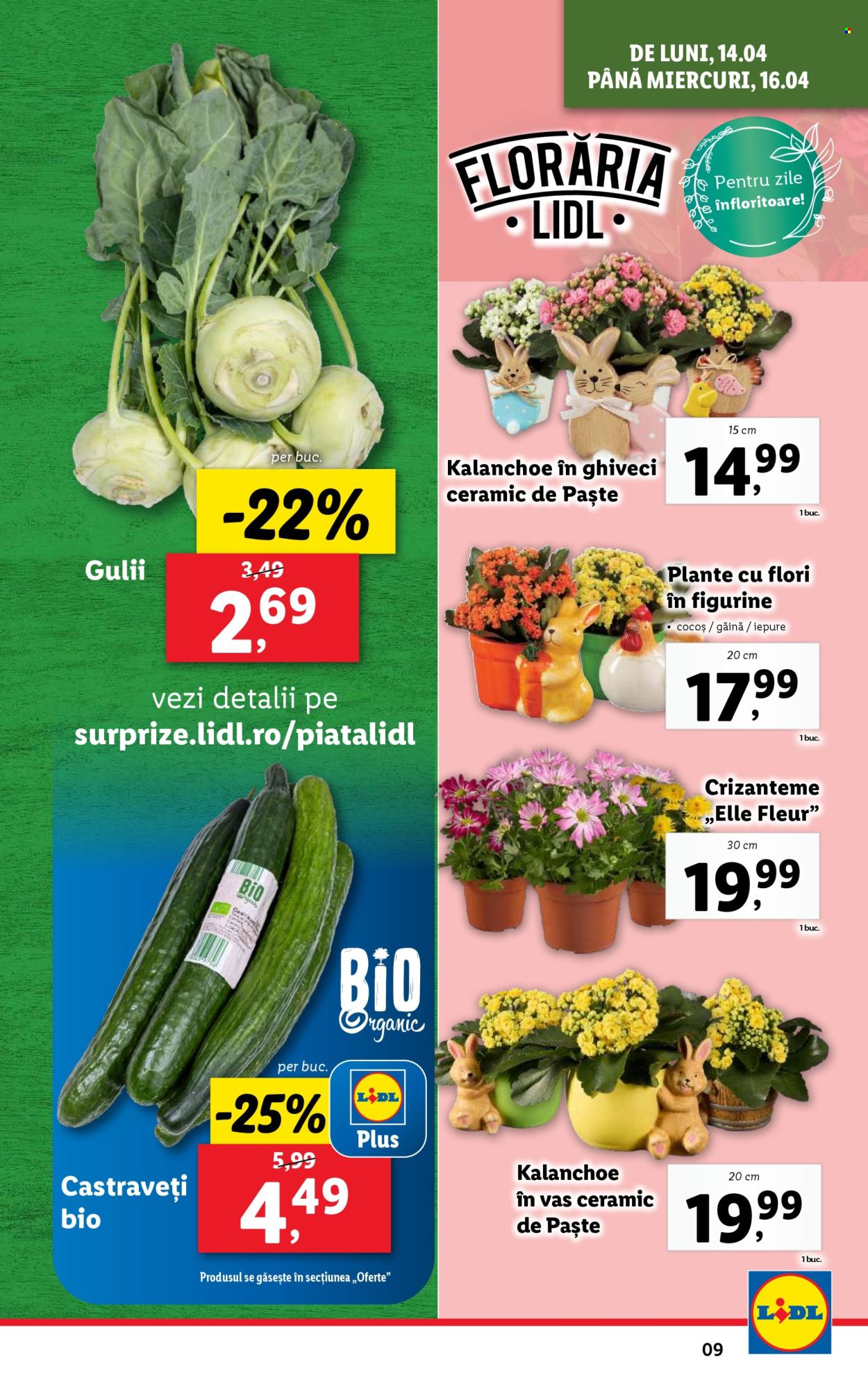 Catalog Lidl - 14.04.2025 - 19.04.2025. Pagina 9