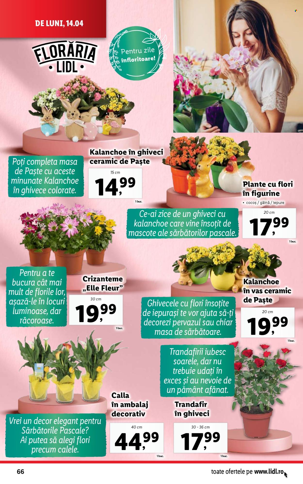 Catalog Lidl - 14.04.2025 - 19.04.2025. Pagina 66