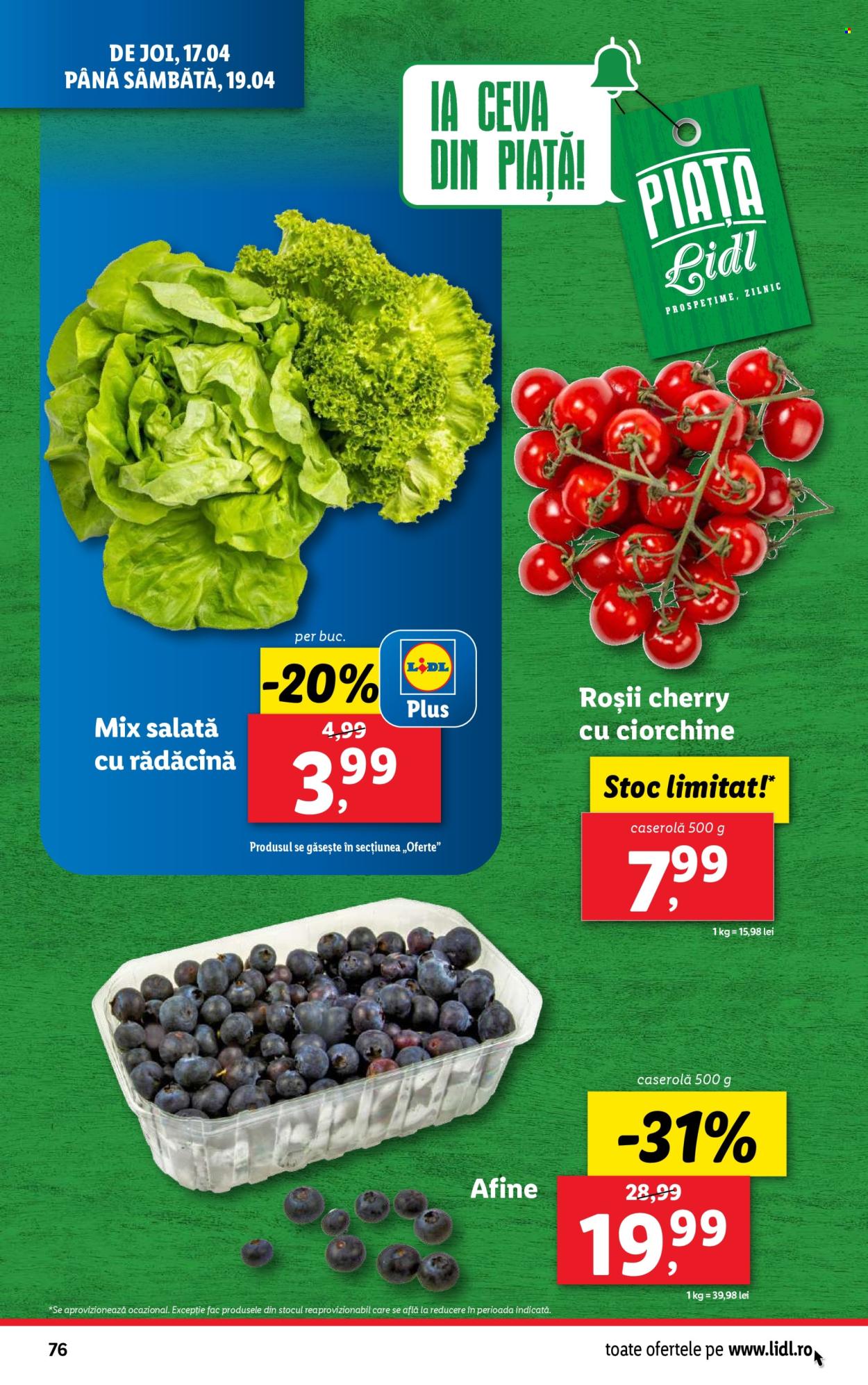 Catalog Lidl - 14.04.2025 - 19.04.2025. Pagina 76