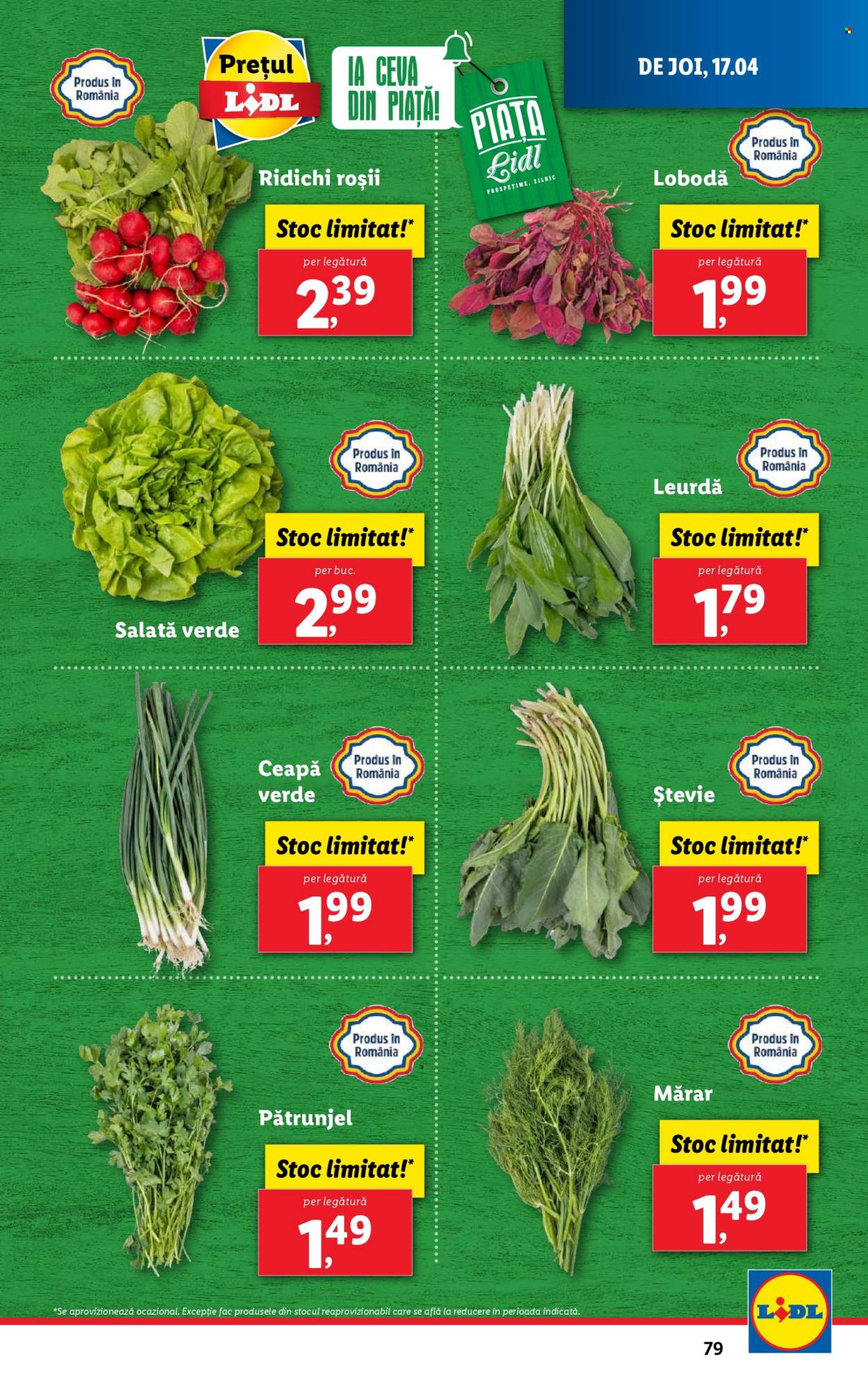 Catalog Lidl - 14.04.2025 - 19.04.2025. Pagina 79