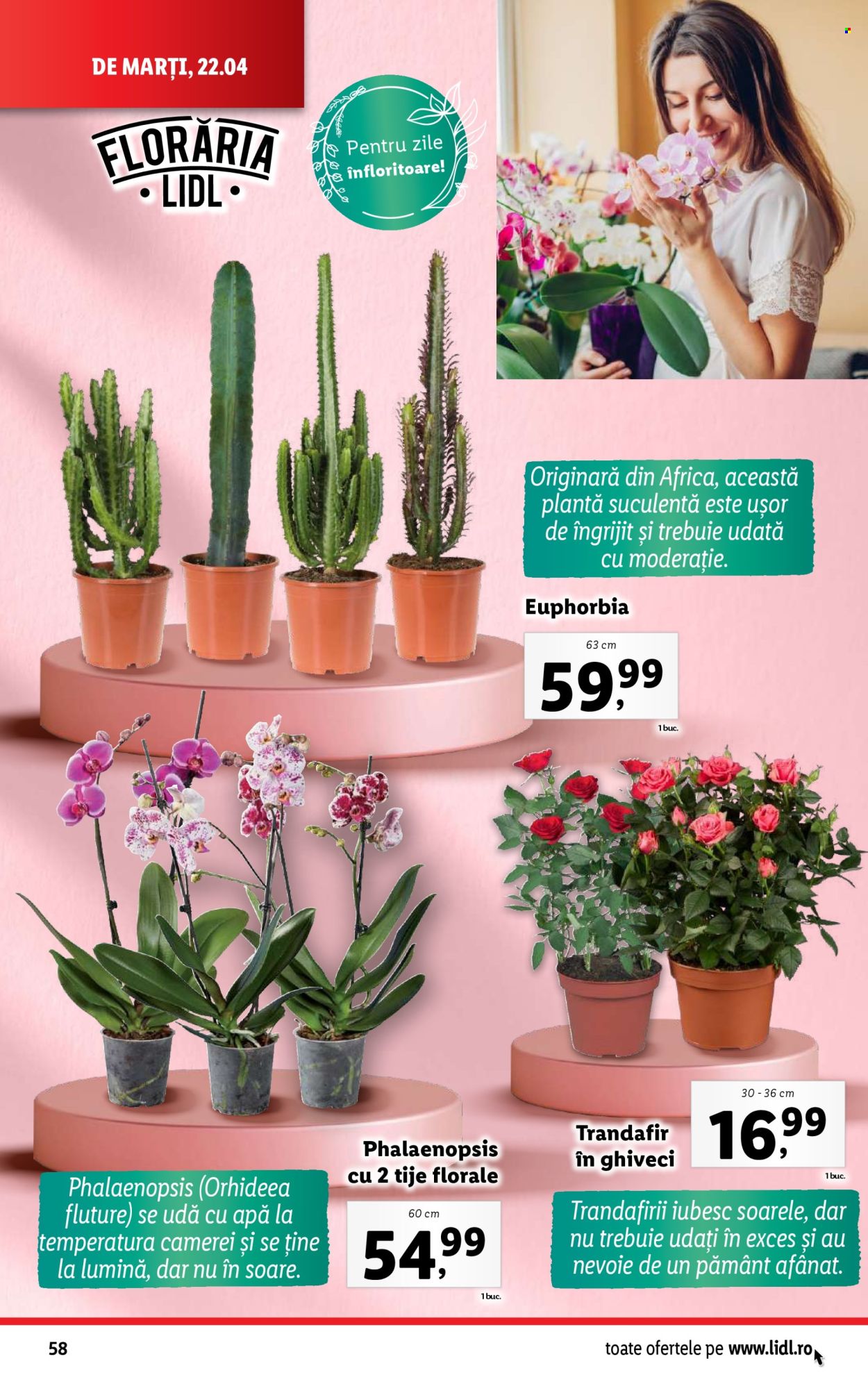 Catalog Lidl - 22.04.2025 - 27.04.2025. Pagina 58