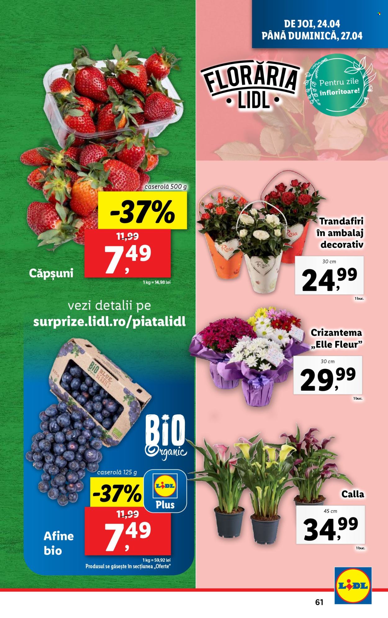 Catalog Lidl - 22.04.2025 - 27.04.2025. Pagina 61