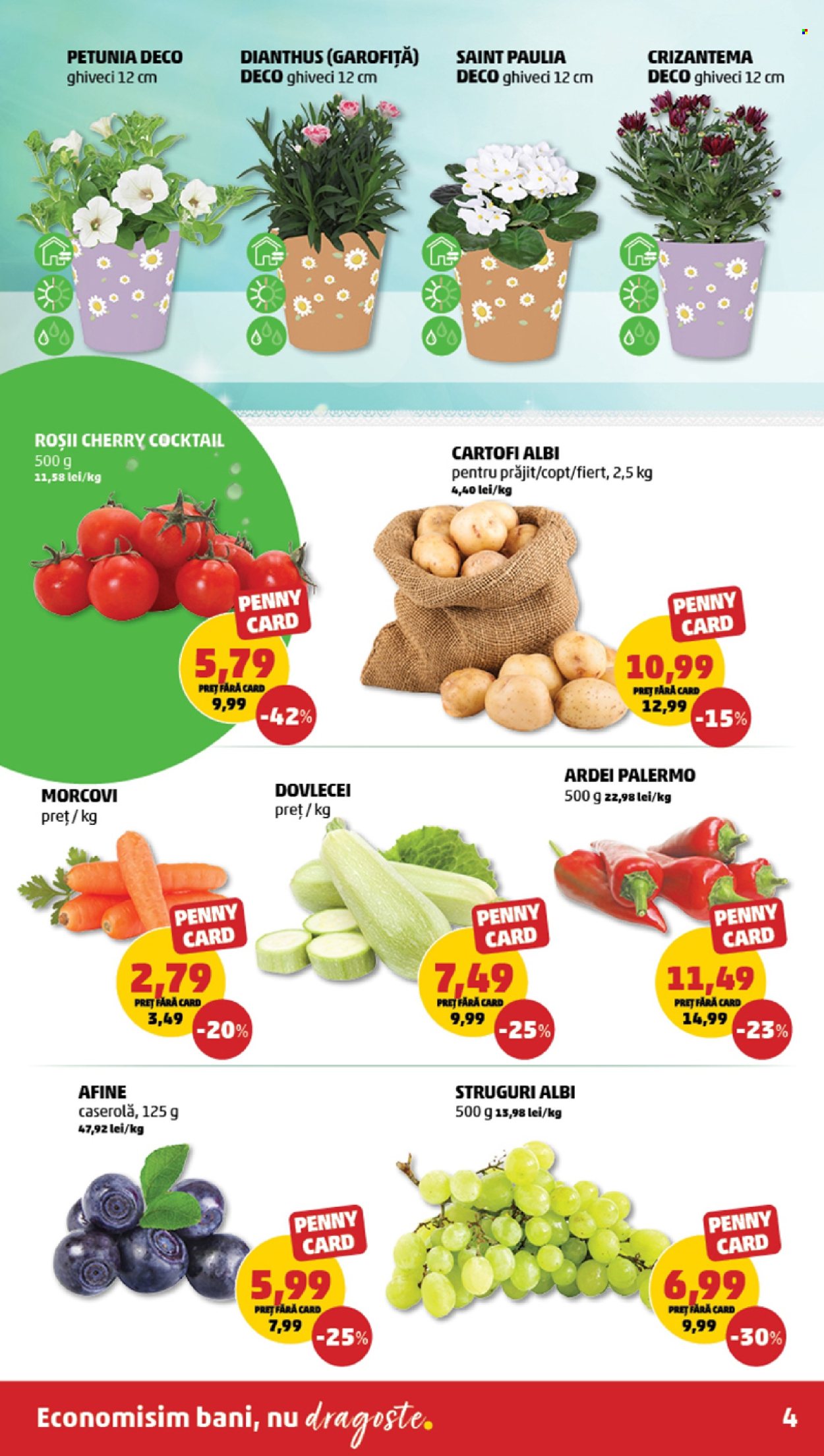 Catalog PENNY - 23.04.2025 - 29.04.2025. Pagina 4