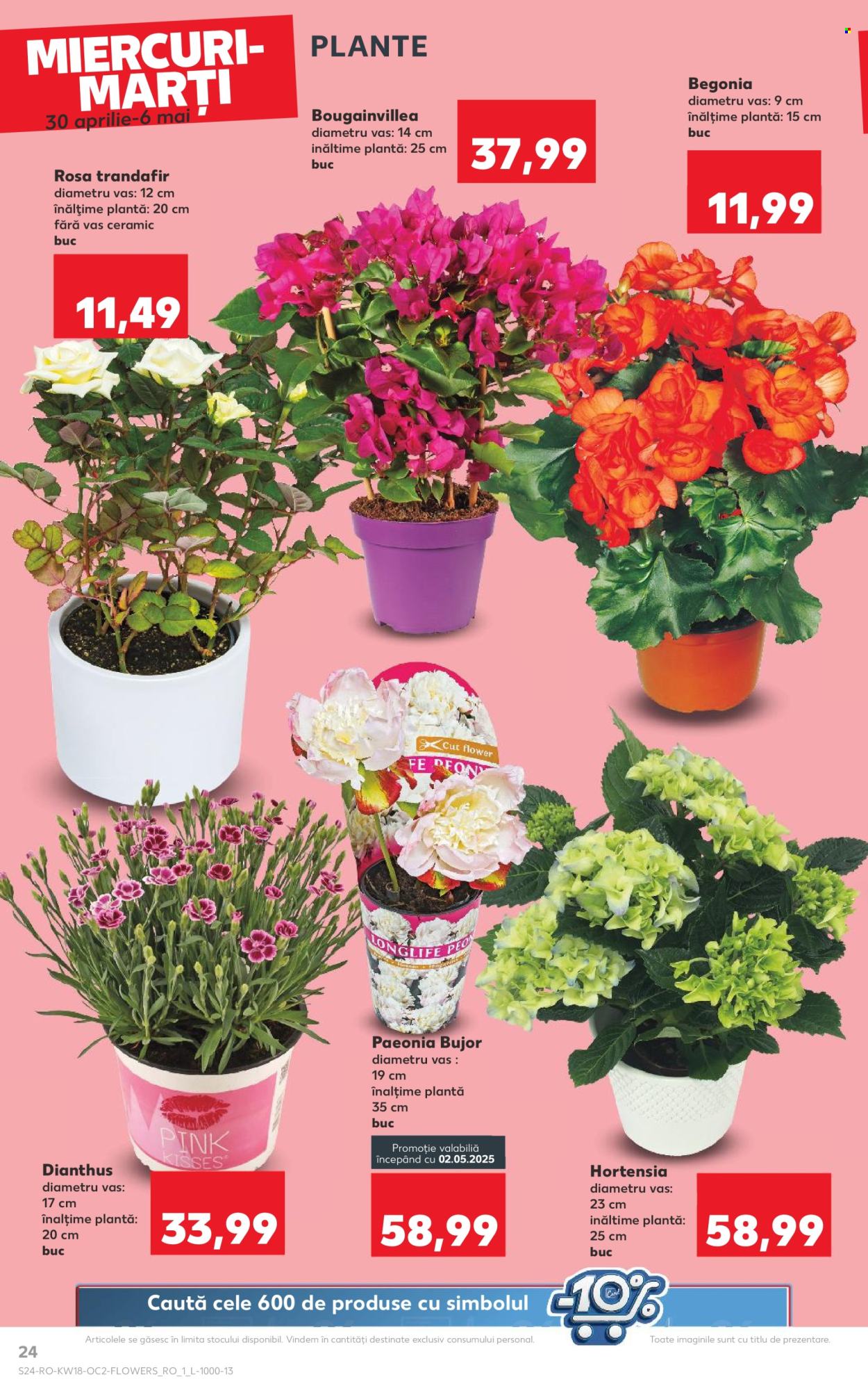 Catalog Kaufland - 30.04.2025 - 06.05.2025. Pagina 24