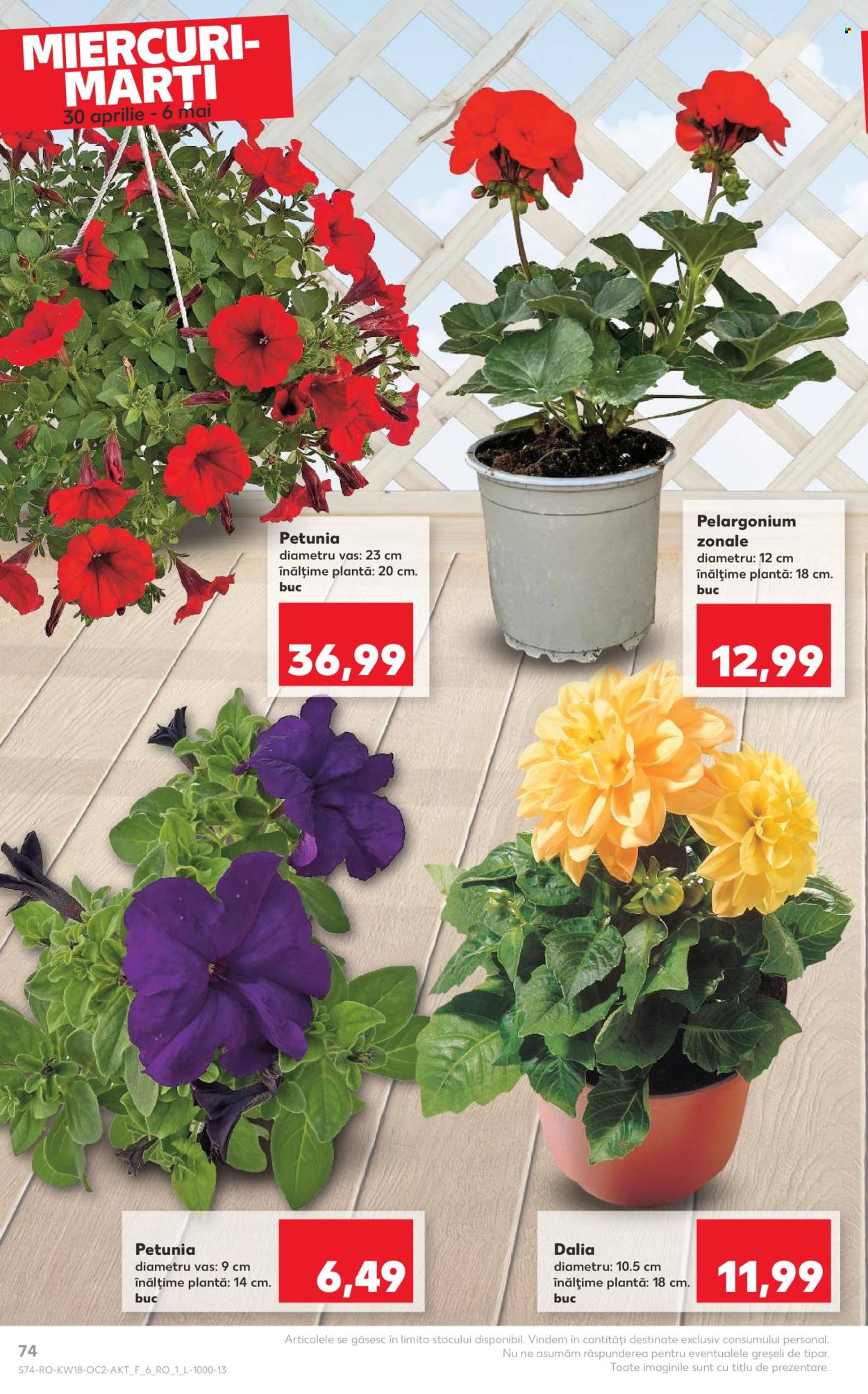 Catalog Kaufland - 30.04.2025 - 06.05.2025. Pagina 74