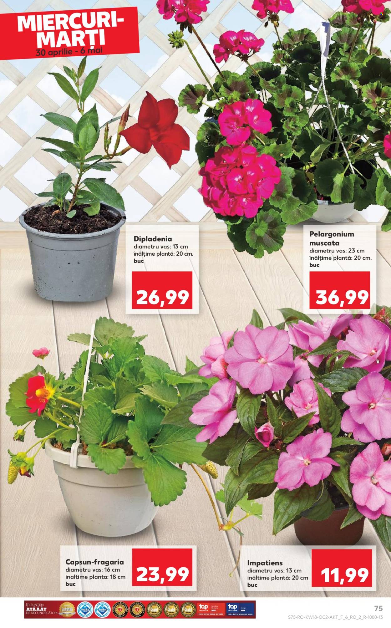 Catalog Kaufland - 30.04.2025 - 06.05.2025. Pagina 75
