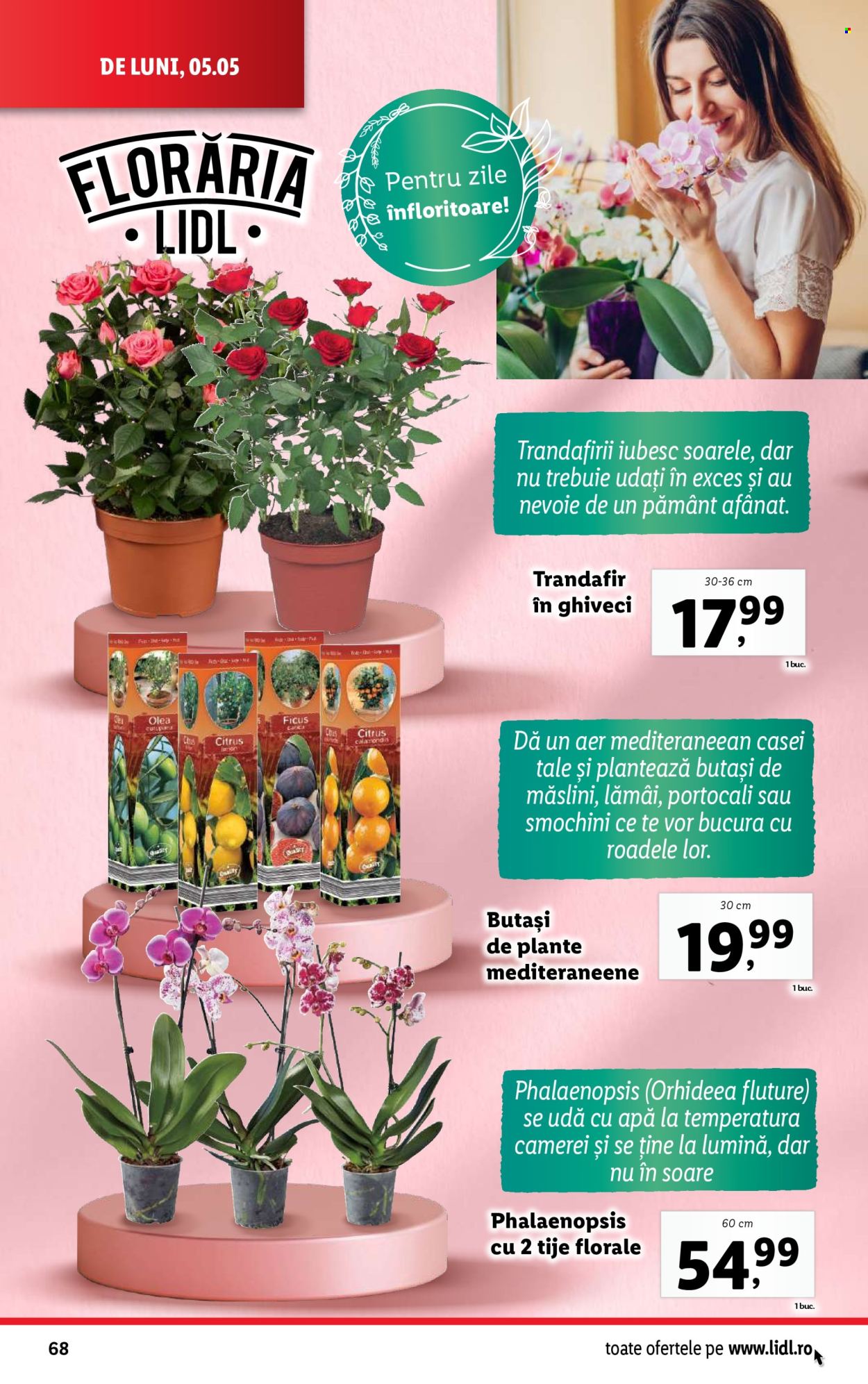 Catalog Lidl - 05.05.2025 - 11.05.2025. Pagina 68
