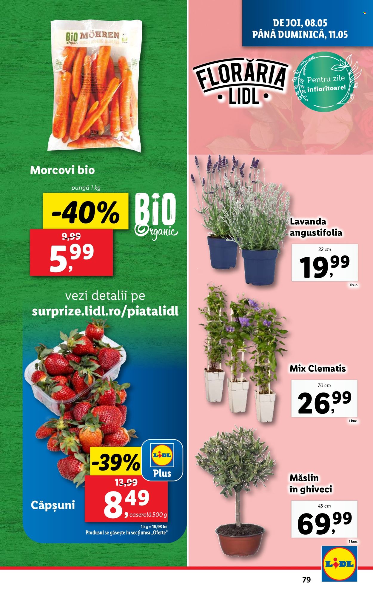 Catalog Lidl - 05.05.2025 - 11.05.2025. Pagina 79