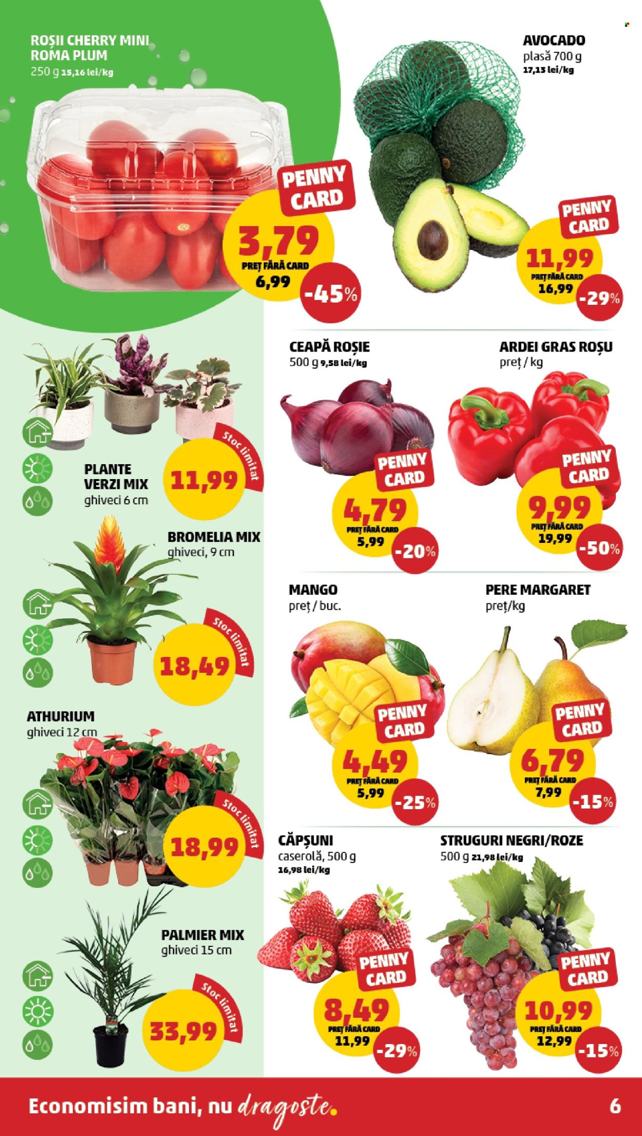 Catalog PENNY - 30.04.2025 - 06.05.2025. Pagina 6