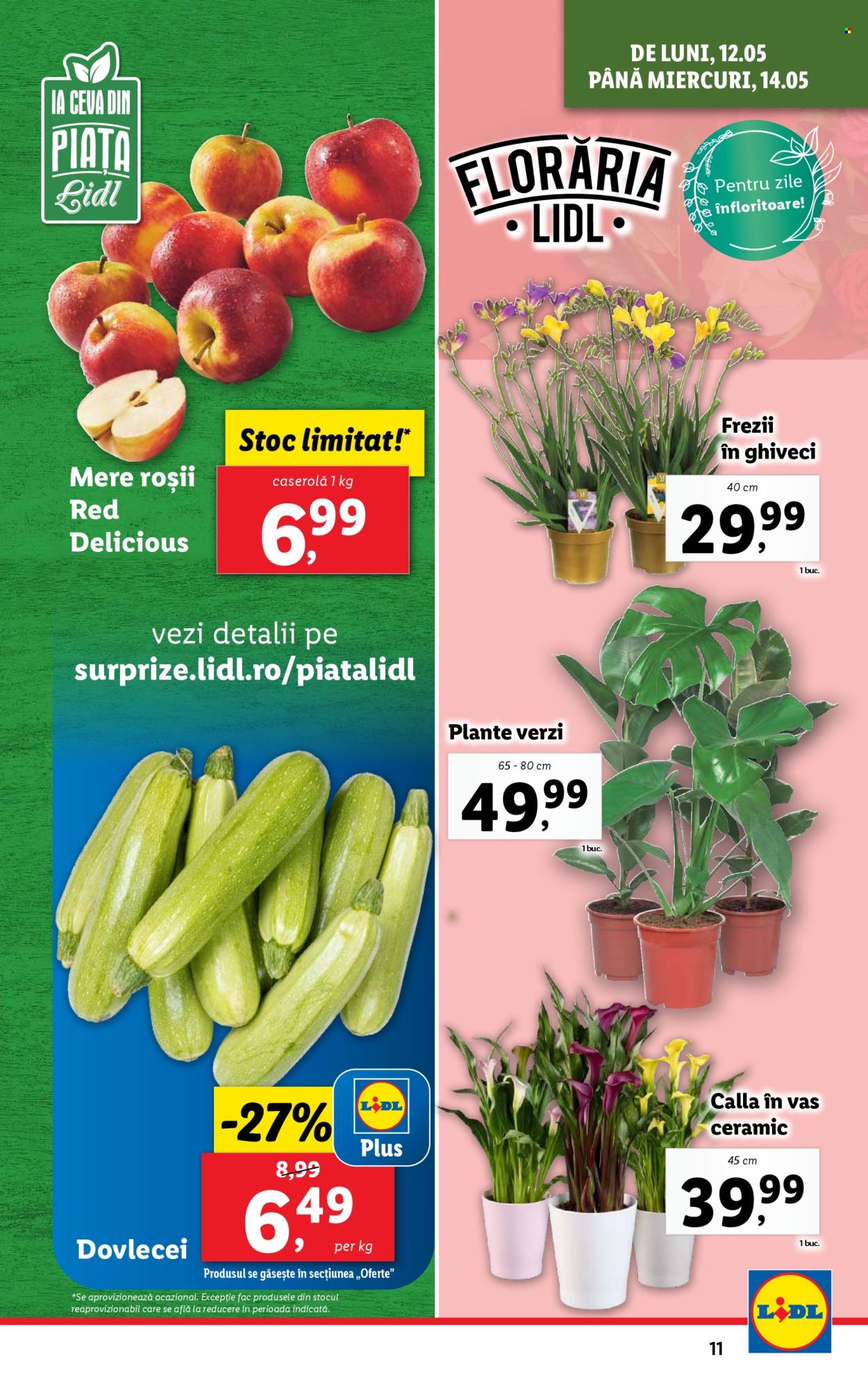 Catalog Lidl - 12.05.2025 - 18.05.2025. Pagina 11