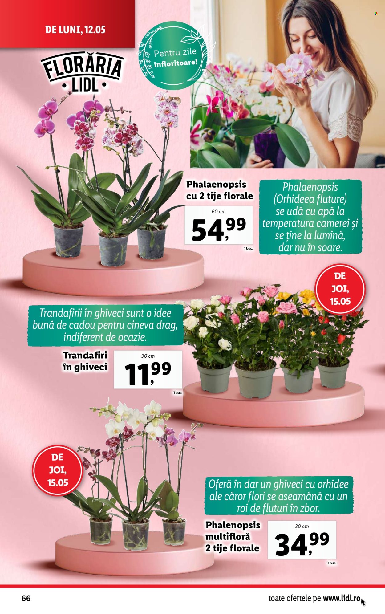 Catalog Lidl - 12.05.2025 - 18.05.2025. Pagina 66