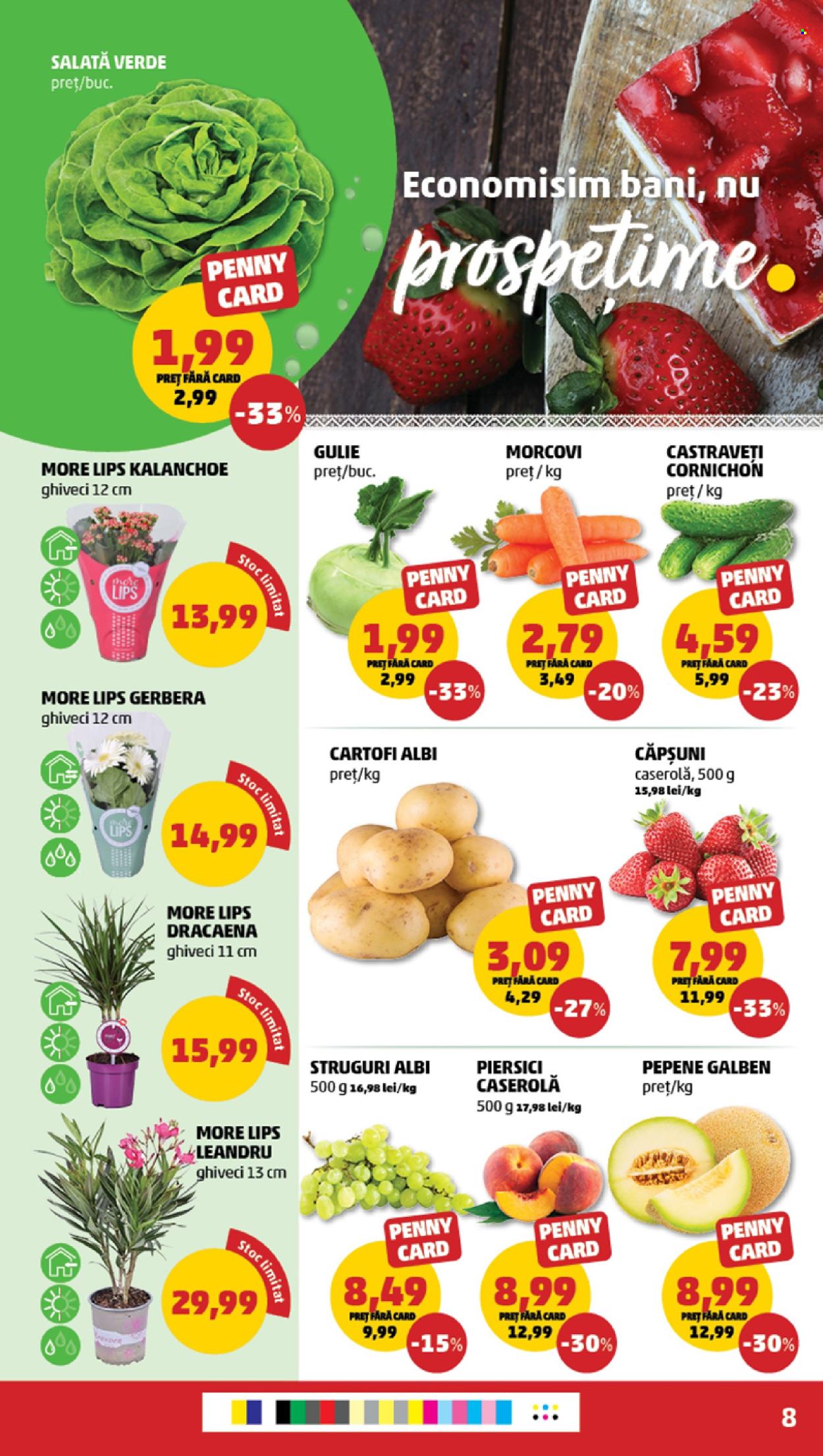Catalog PENNY - 14.05.2025 - 20.05.2025. Pagina 8