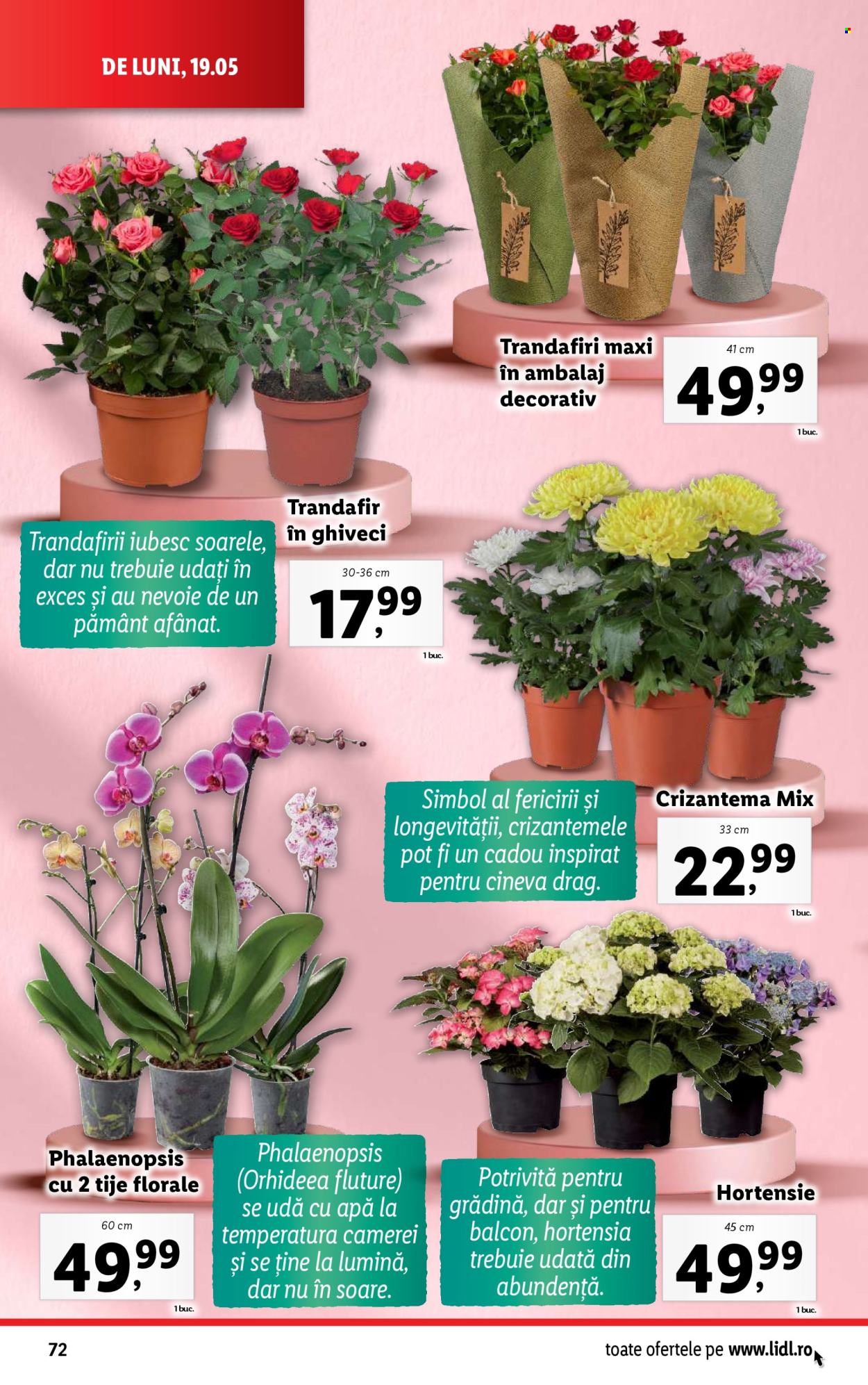 Catalog Lidl - 19.05.2025 - 25.05.2025. Pagina 72