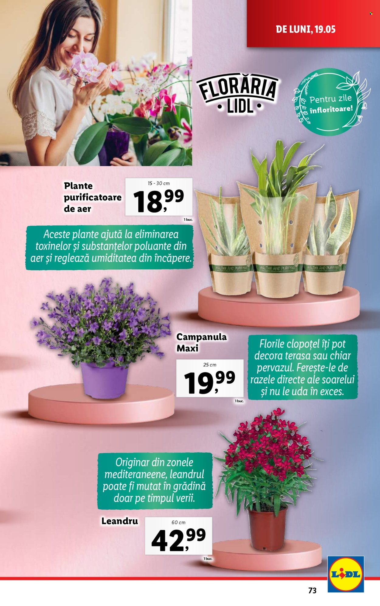Catalog Lidl - 19.05.2025 - 25.05.2025. Pagina 73