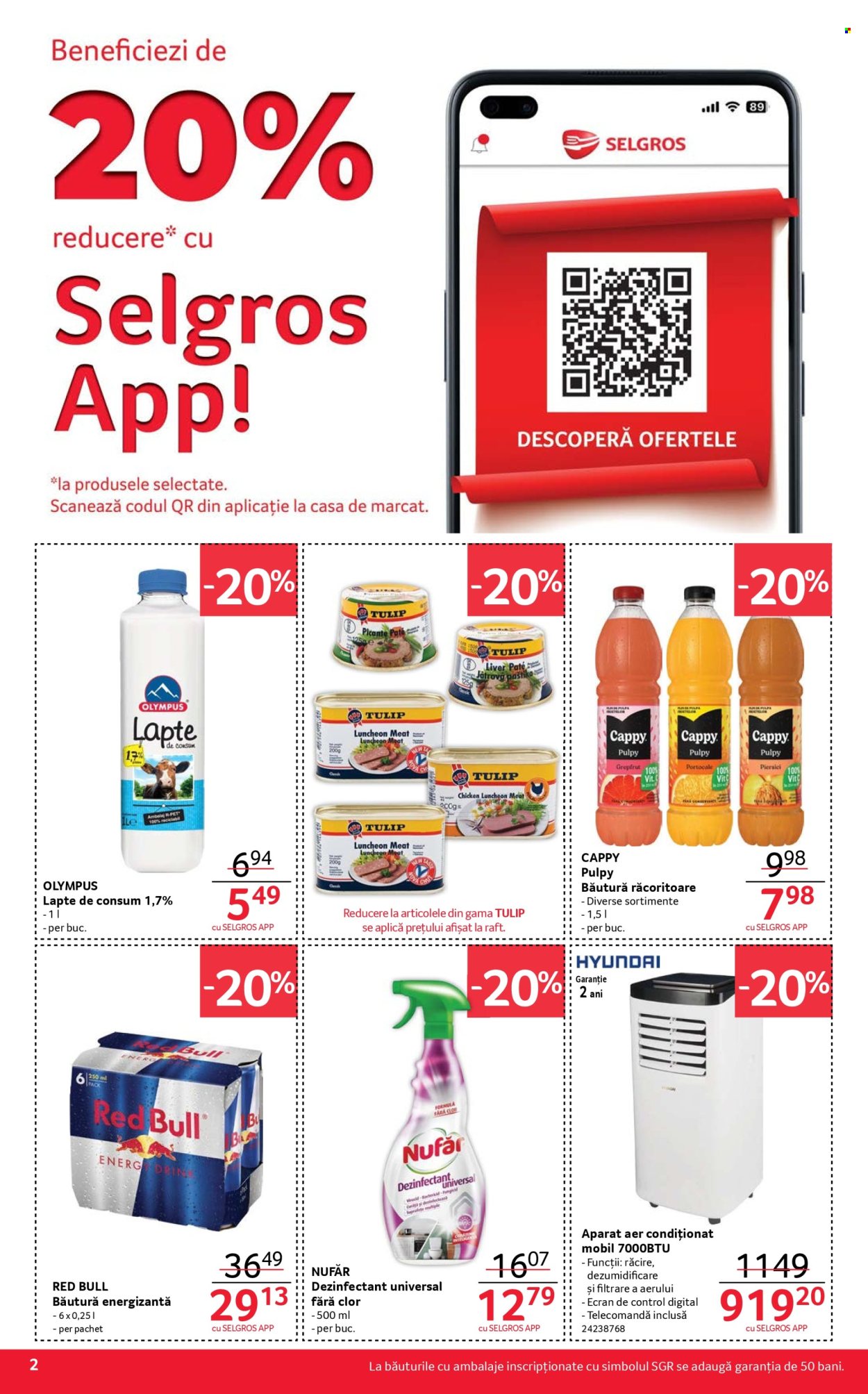 Catalog Selgros - 16.05.2025 - 29.05.2025. Pagina 2