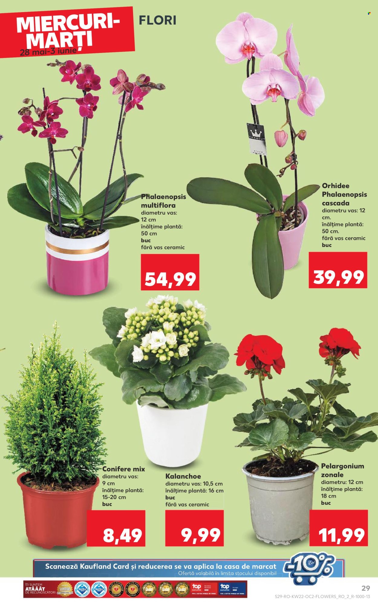 Catalog Kaufland - 28.05.2025 - 03.06.2025. Pagina 29