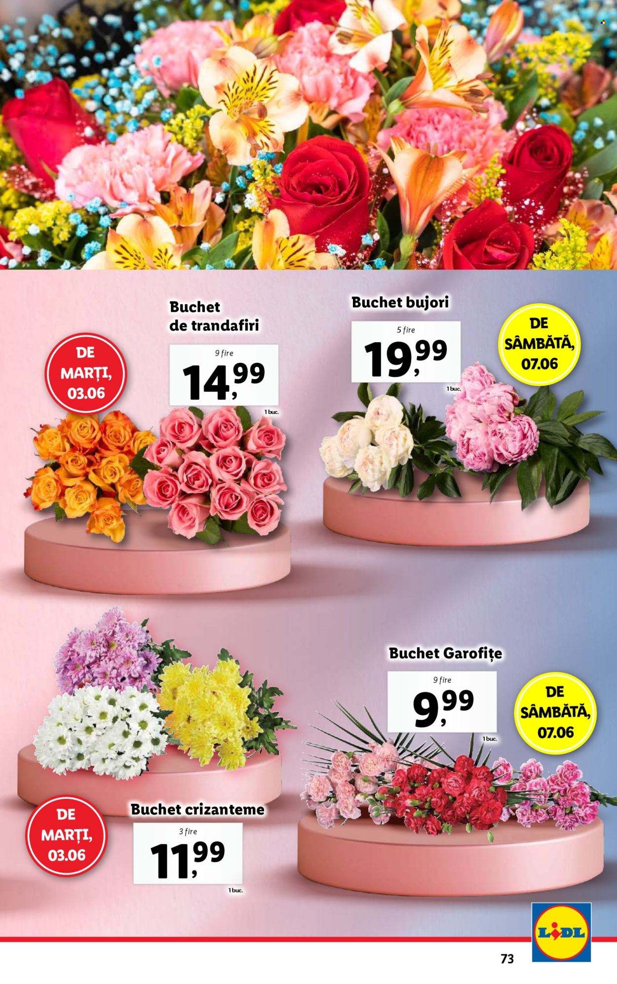 Catalog Lidl - 02.06.2025 - 08.06.2025. Pagina 73