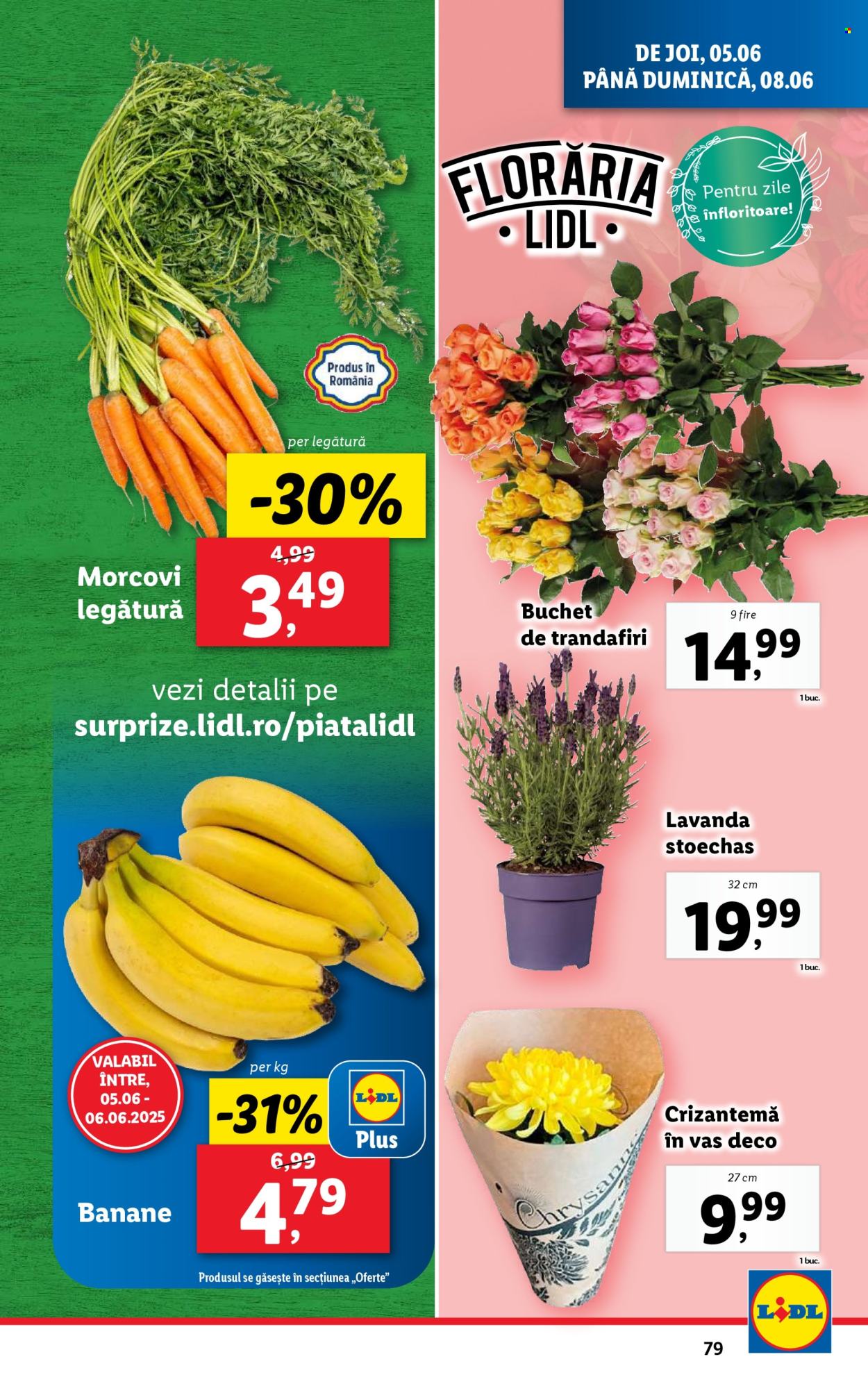 Catalog Lidl - 02.06.2025 - 08.06.2025. Pagina 79