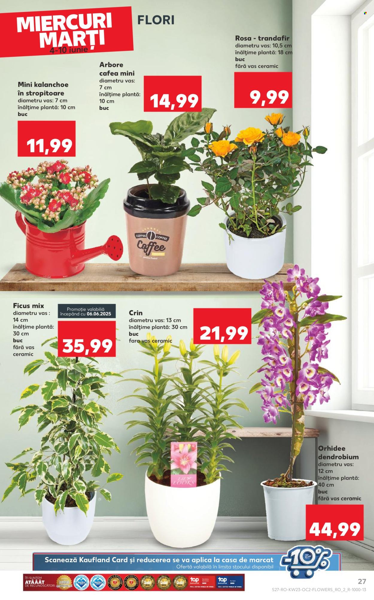 Catalog Kaufland - 04.06.2025 - 10.06.2025. Pagina 27
