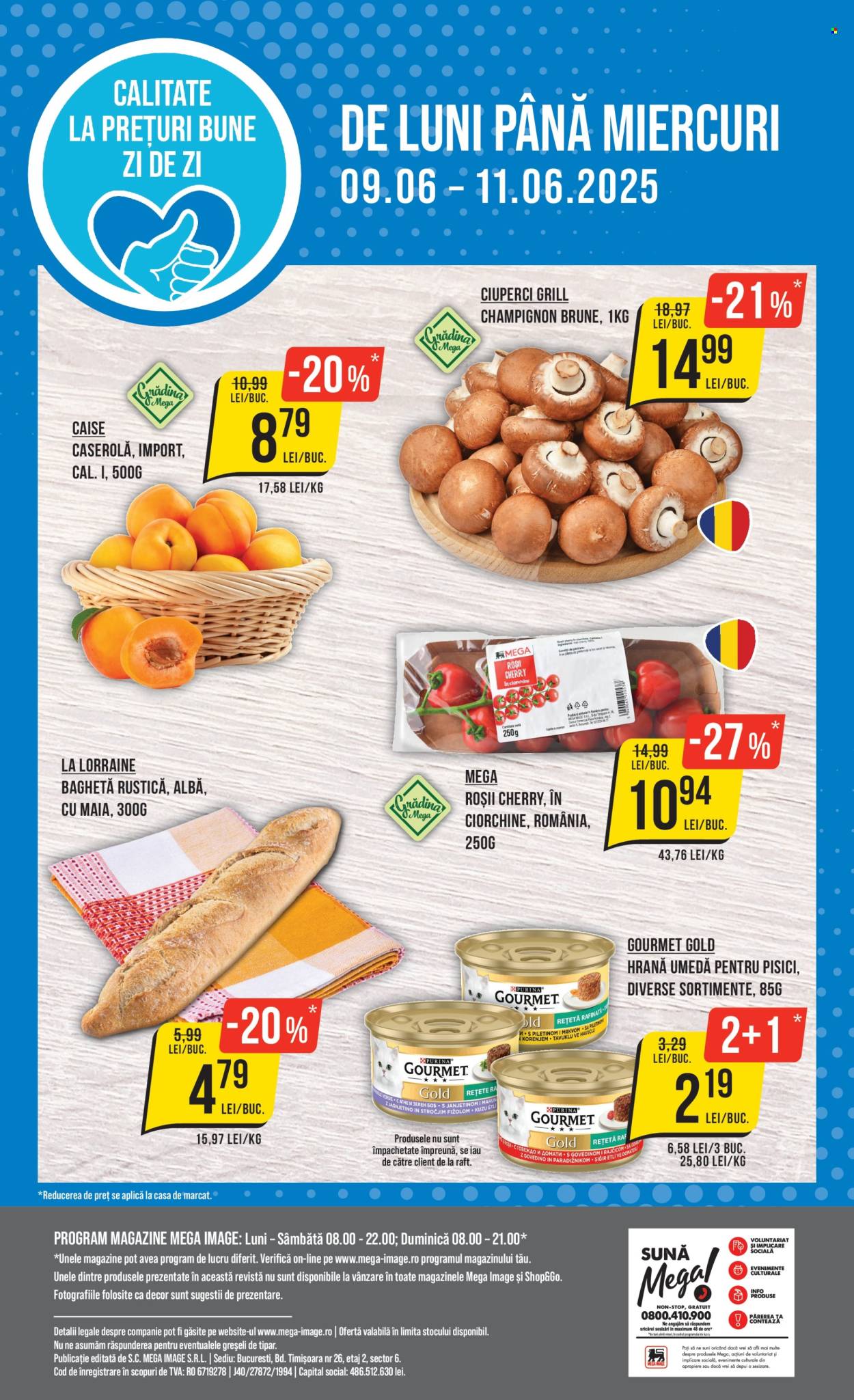 Catalog Mega Image - 05.06.2025 - 11.06.2025. Pagina 24