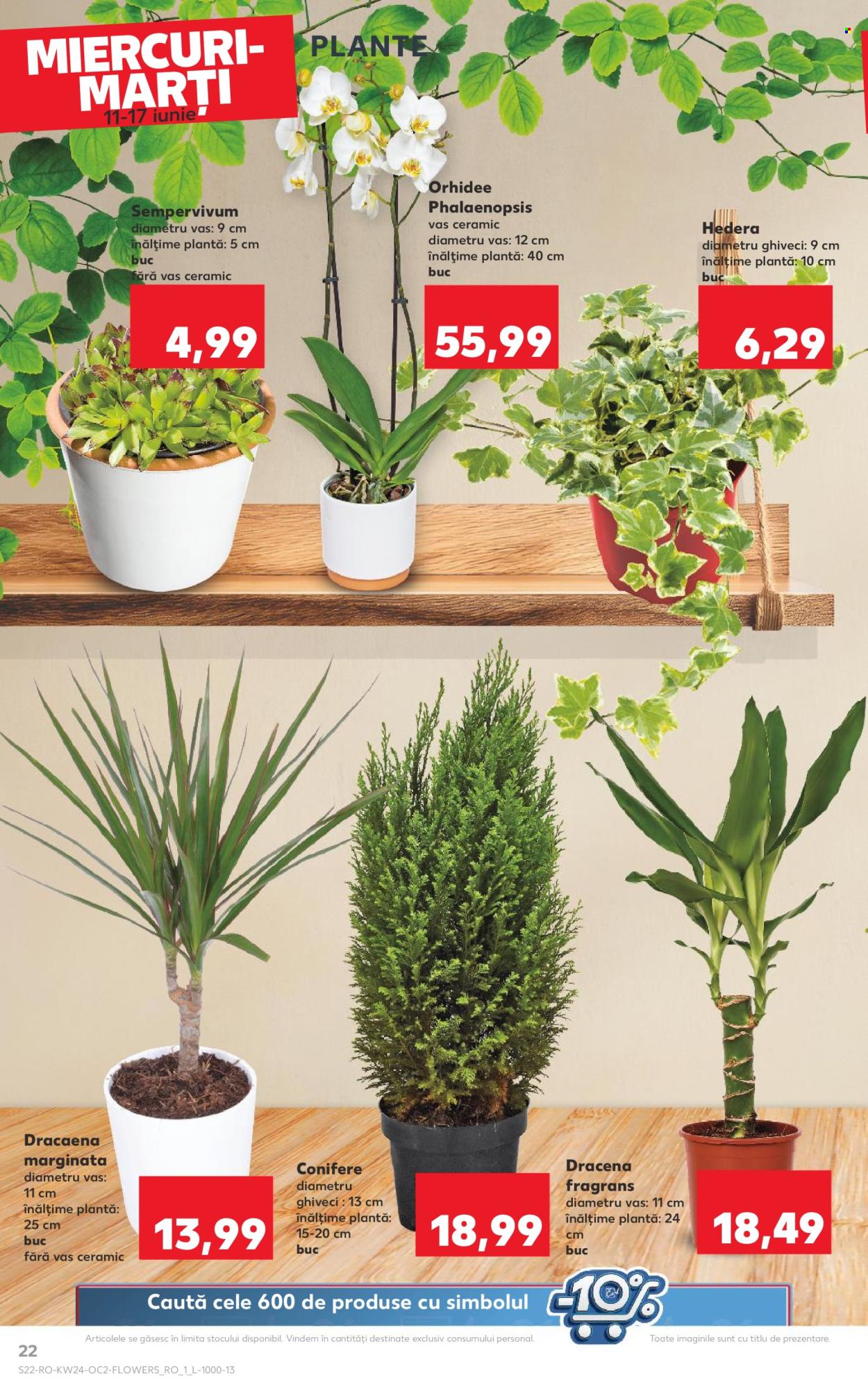 Catalog Kaufland - 11.06.2025 - 17.06.2025. Pagina 22