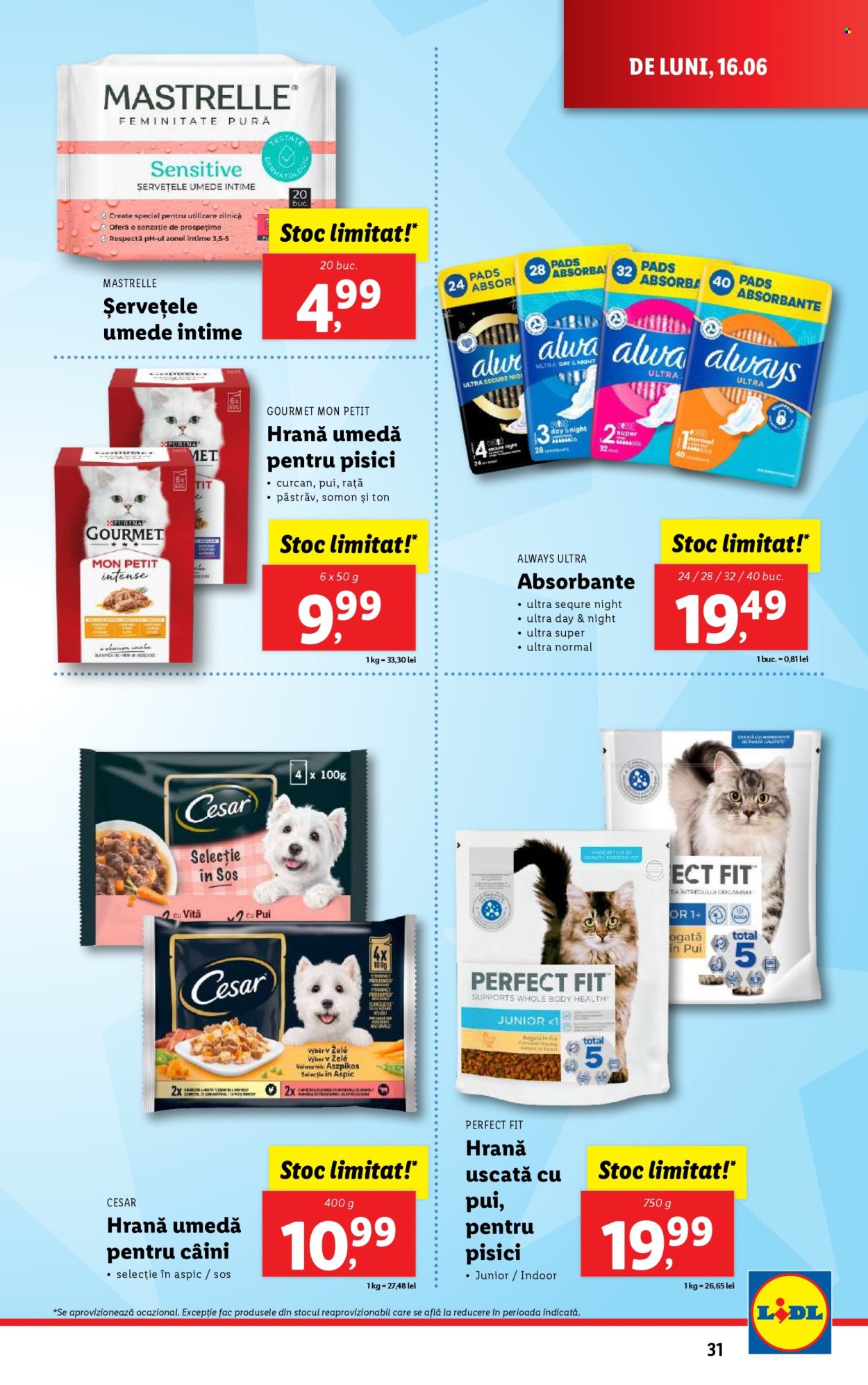Catalog Lidl - 16.06.2025 - 22.06.2025. Pagina 31