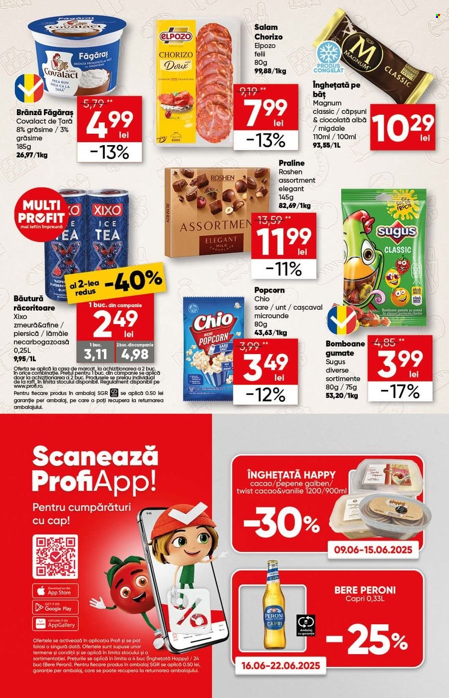 Catalog Profi Loco - 11.06.2025 - 24.06.2025. Pagina 13