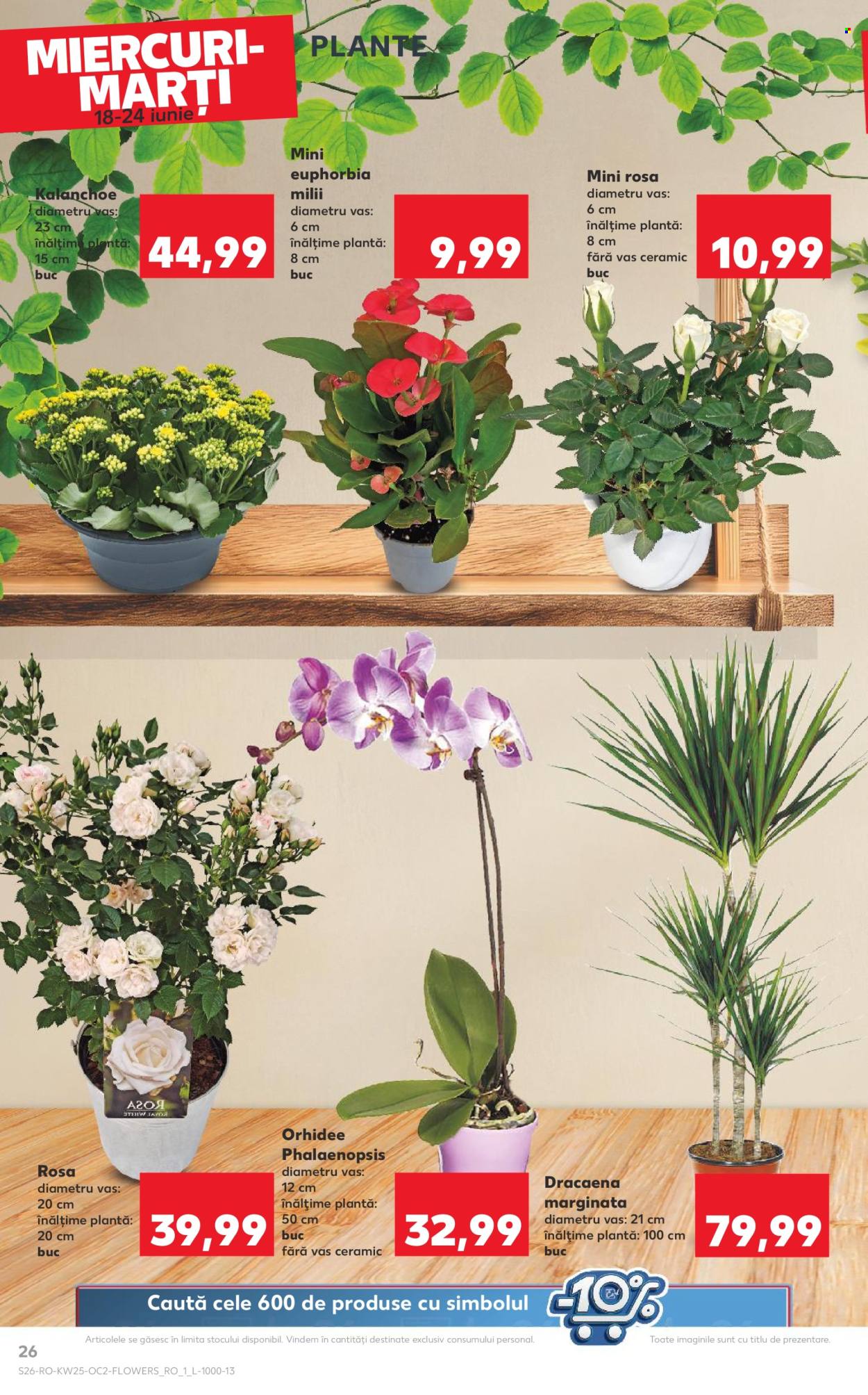 Catalog Kaufland - 18.06.2025 - 24.06.2025. Pagina 26