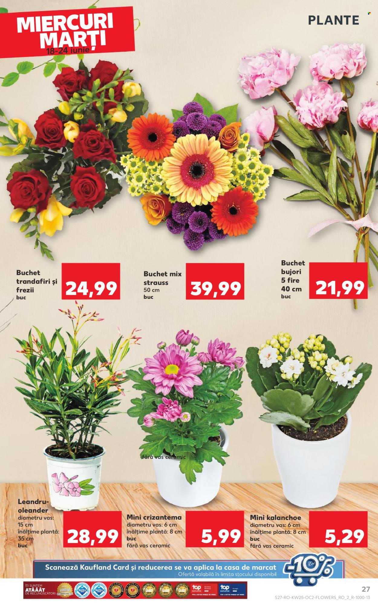 Catalog Kaufland - 18.06.2025 - 24.06.2025. Pagina 27