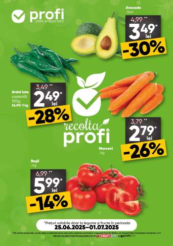 thumbnail - Catalog Profi City