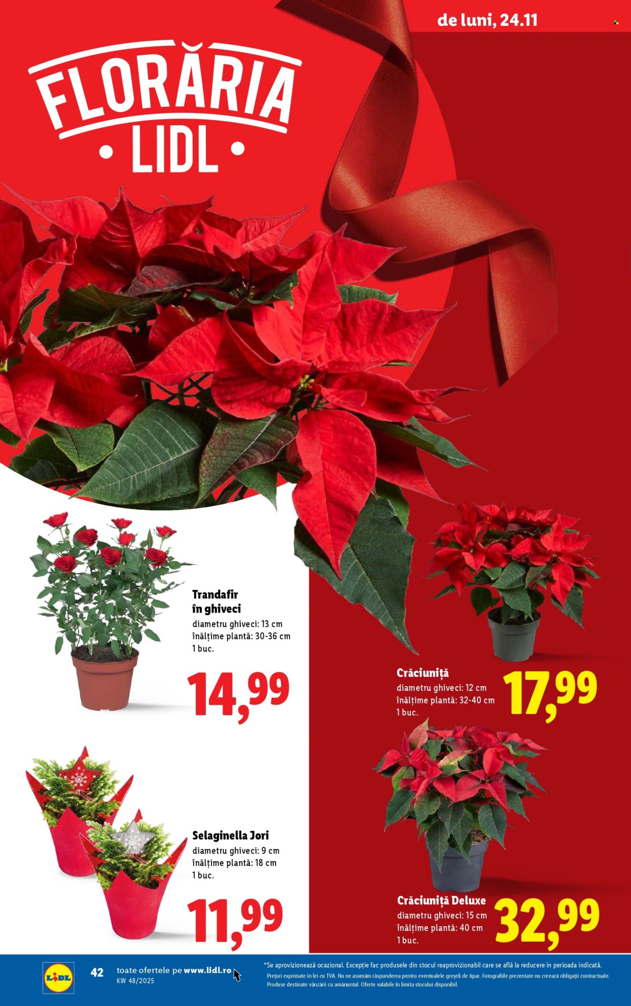 Catalog Lidl - 24.11.2025 - 30.11.2025. Pagina 42