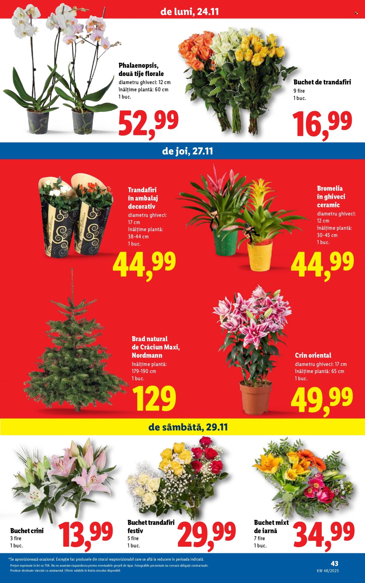 Catalog Lidl - 24.11.2025 - 30.11.2025. Pagina 43
