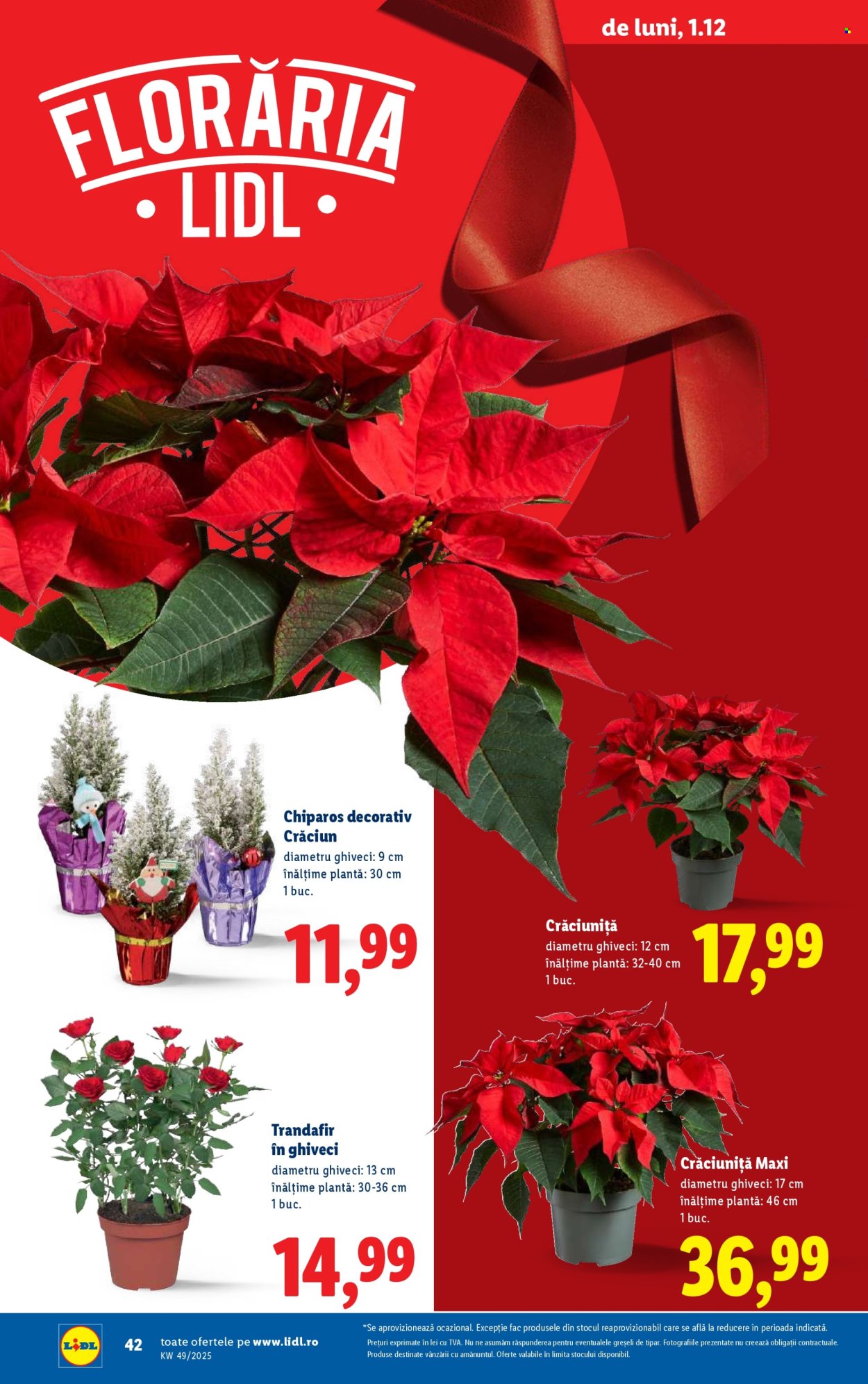 Catalog Lidl - 01.12.2025 - 07.12.2025. Pagina 42