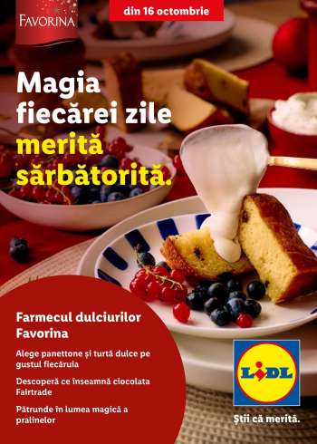 Cataloage Lidl.