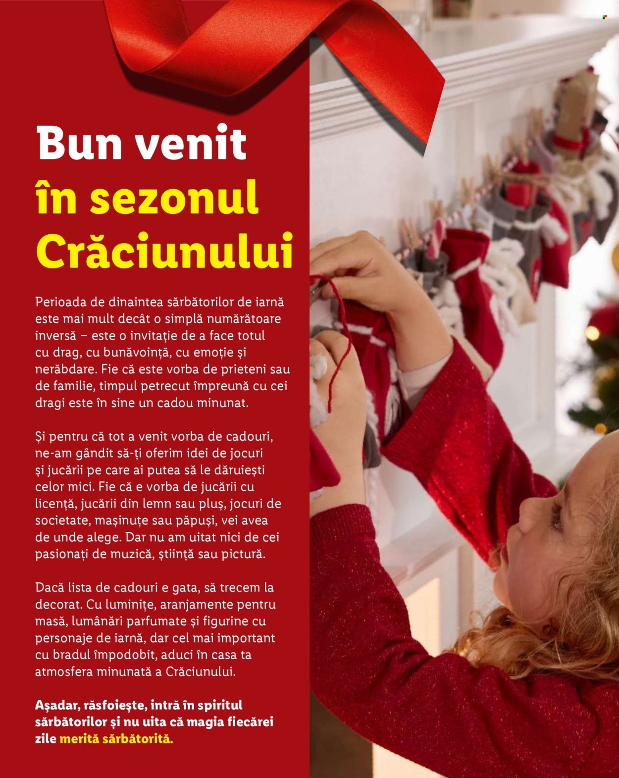 Catalog Lidl. Pagina 2