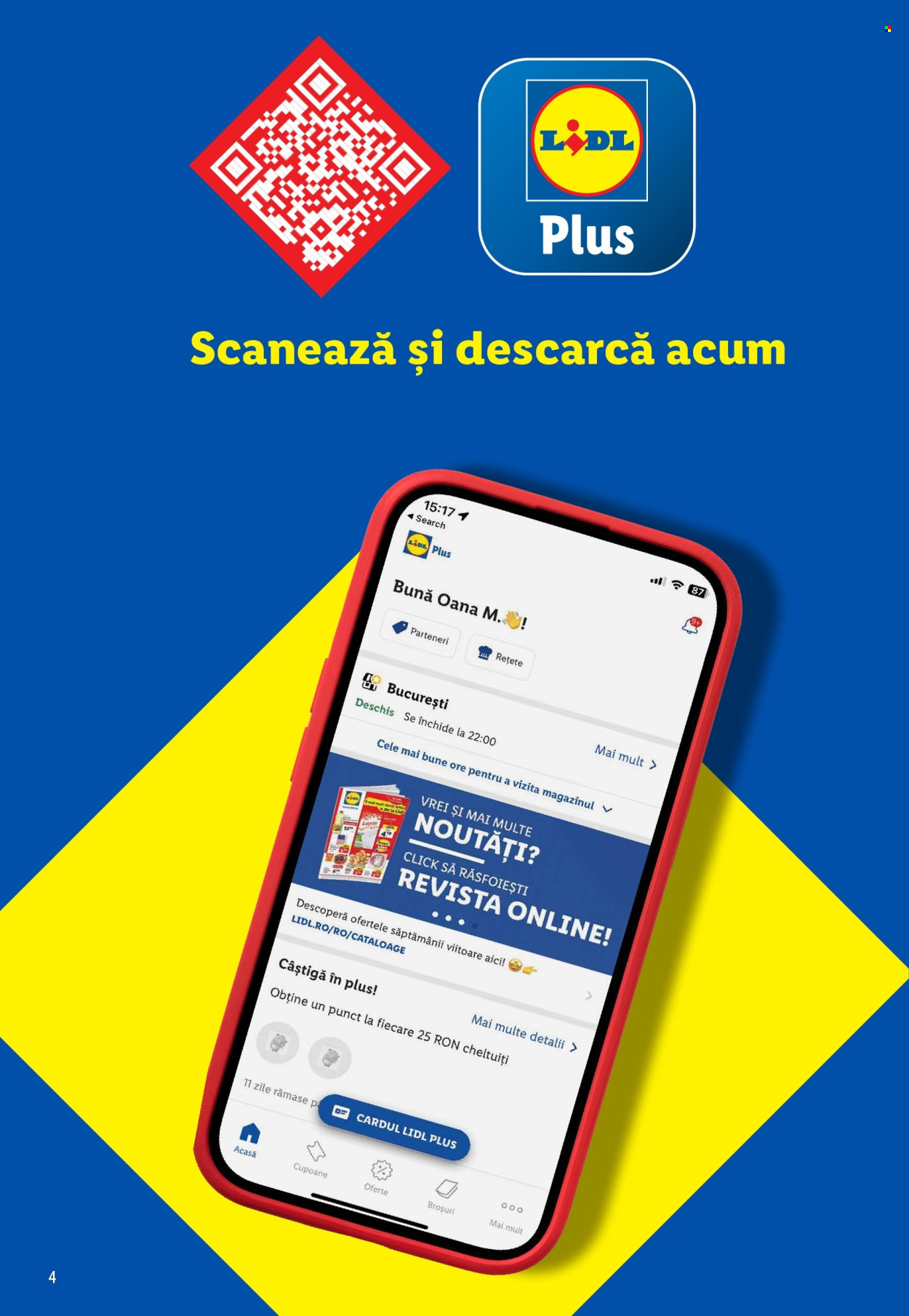 Catalog Lidl. Pagina 4