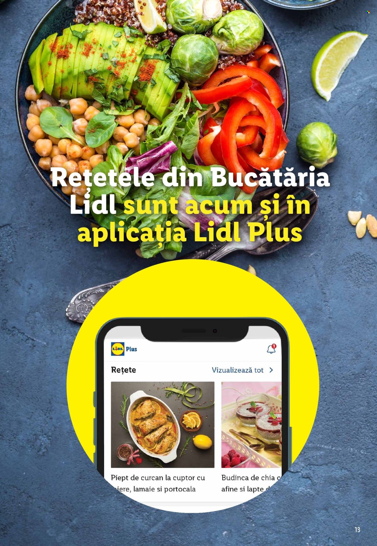 Catalog Lidl. Pagina 13