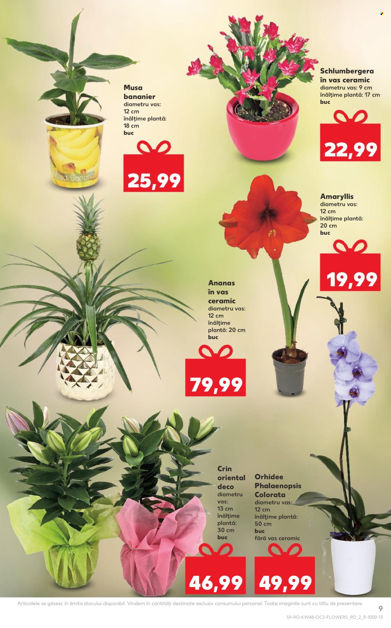 Catalog Kaufland - 26.11.2025 - 02.12.2025. Pagina 9