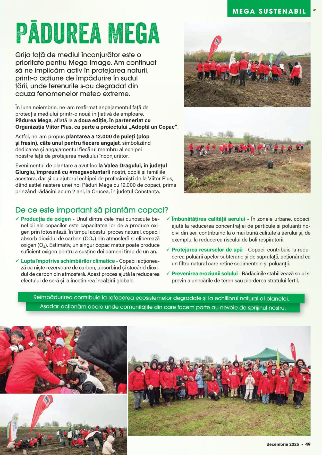 Catalog Mega Image - 01.12.2025 - 31.12.2025. Pagina 49